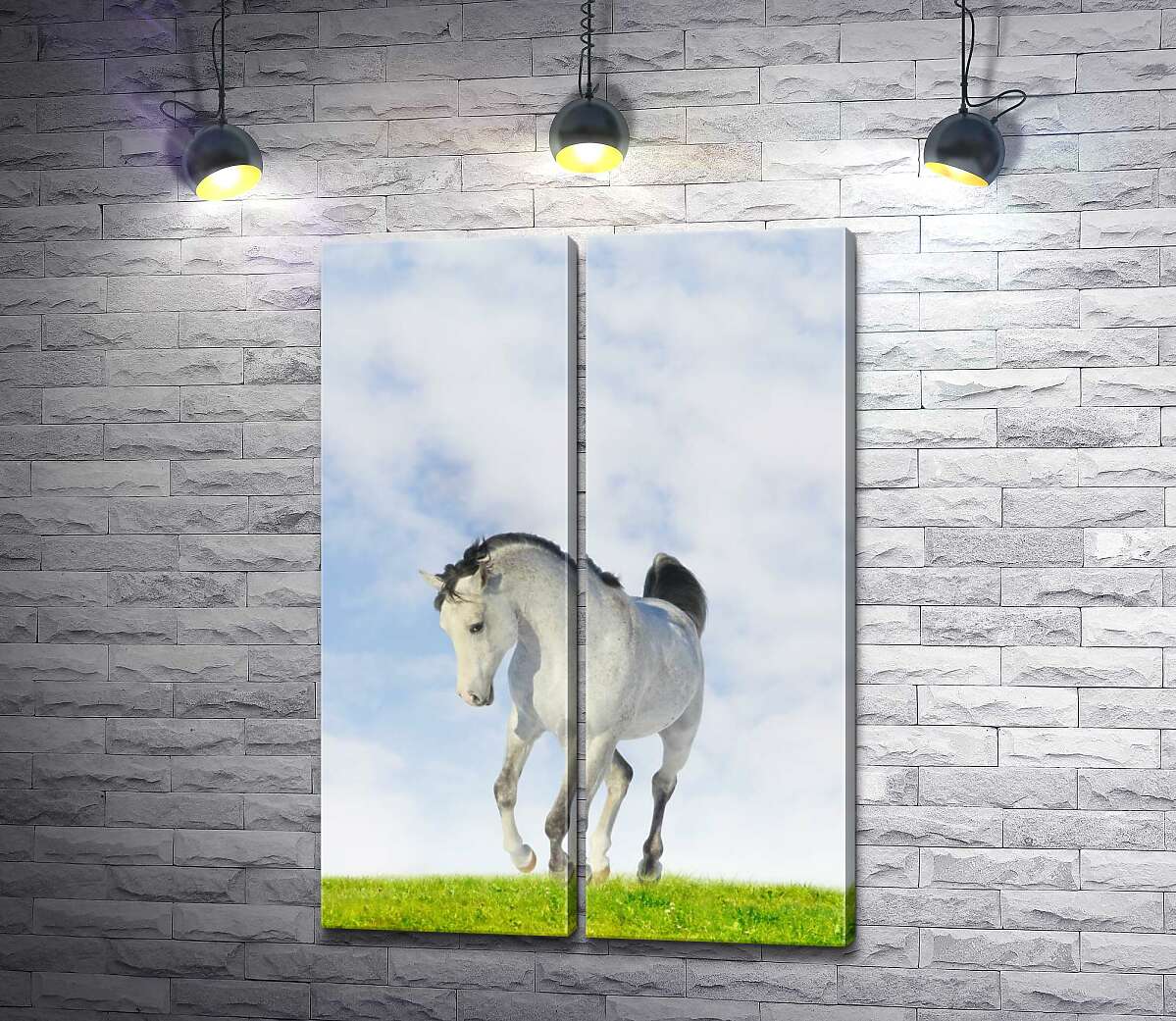 модульная картина Белая лошадь скачет по сочной траве