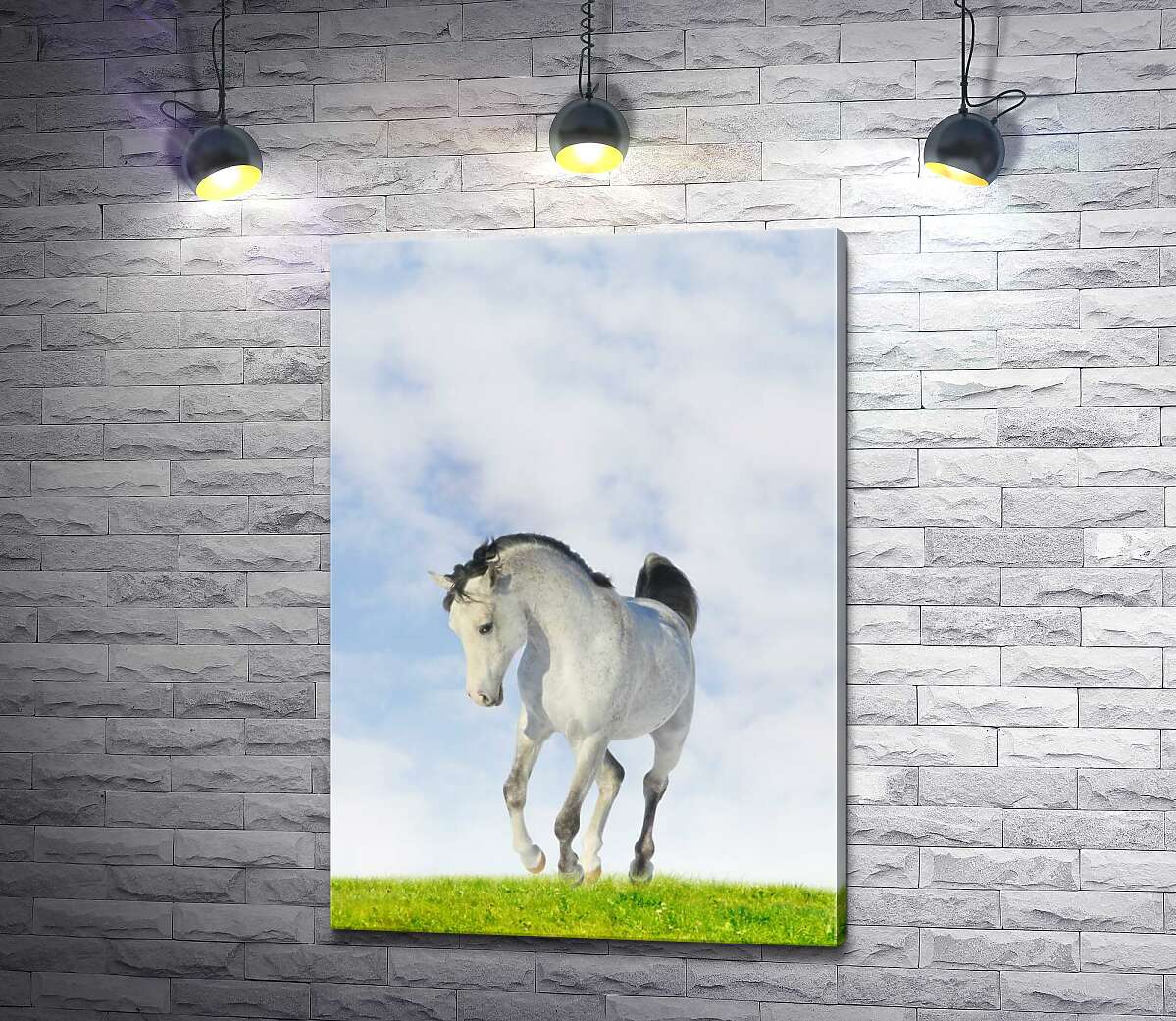 картина Белая лошадь скачет по сочной траве