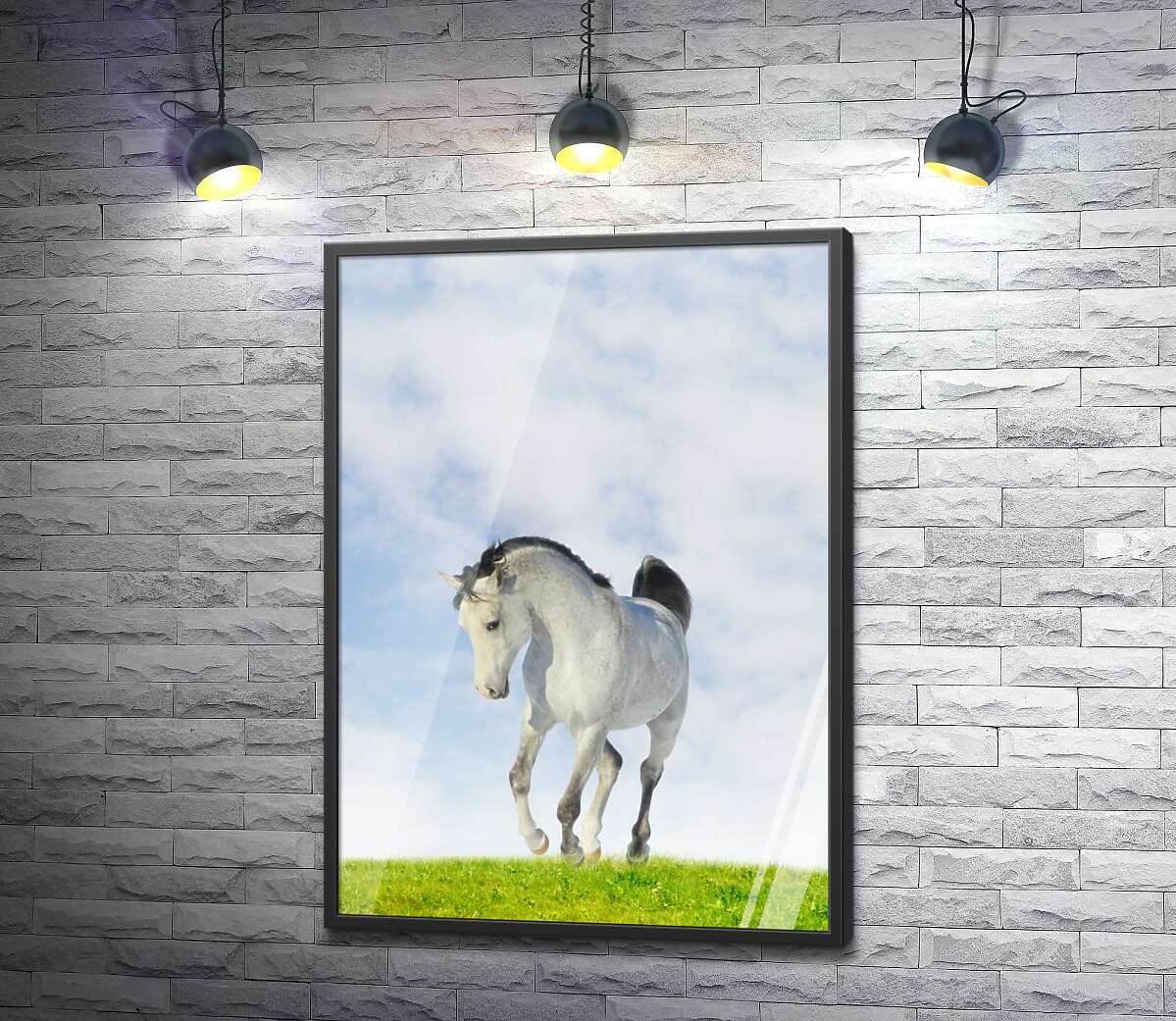 постер Белая лошадь скачет по сочной траве