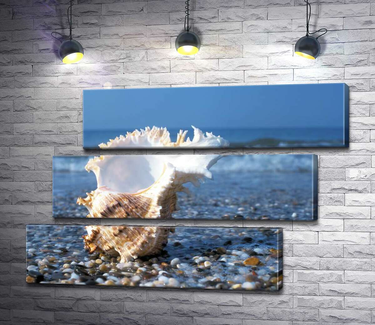 модульна картина Морська мушля з кучерявими краями на кам'янистому пляжі (Модуль №17)