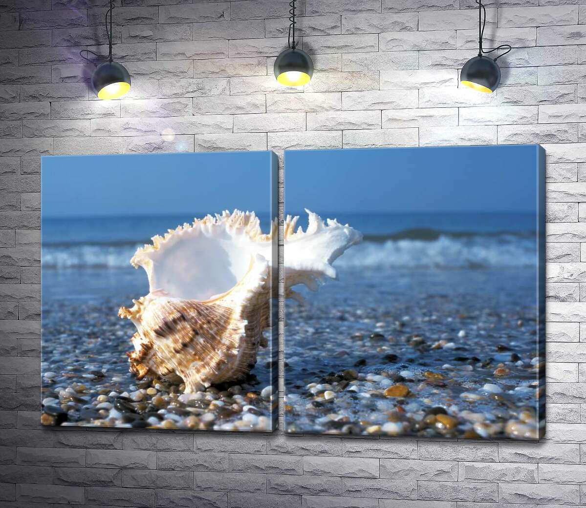 модульная картина Морская ракушка с вьющимися краями на каменистом пляже