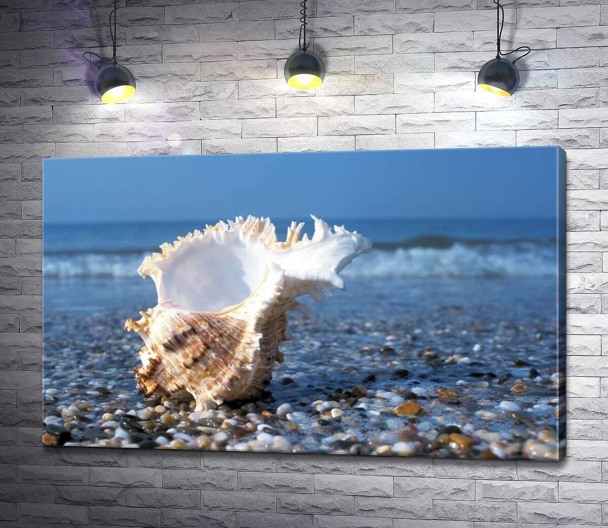 картина Морская ракушка с вьющимися краями на каменистом пляже