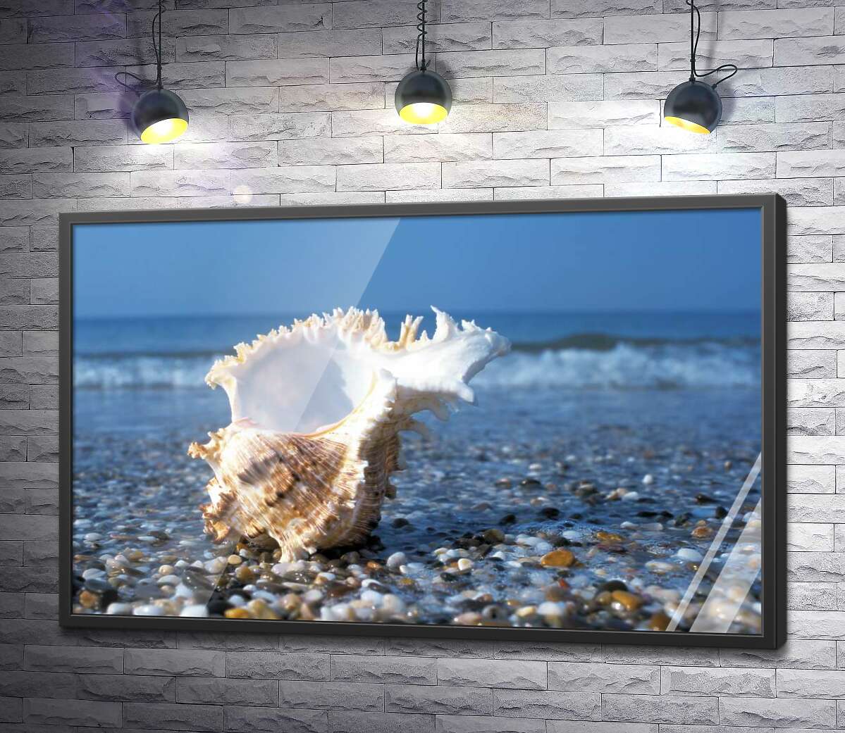 постер Морская ракушка с вьющимися краями на каменистом пляже