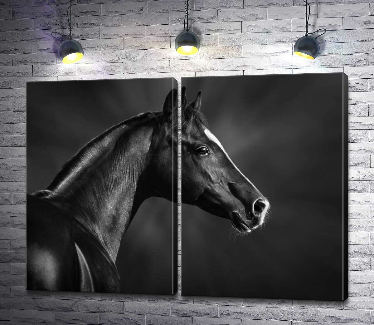 модульна картина Чорно-білий профіль благородного коня