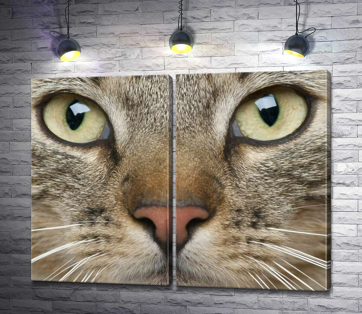модульная картина Сосредоточенный взгляд зеленых глаз кота