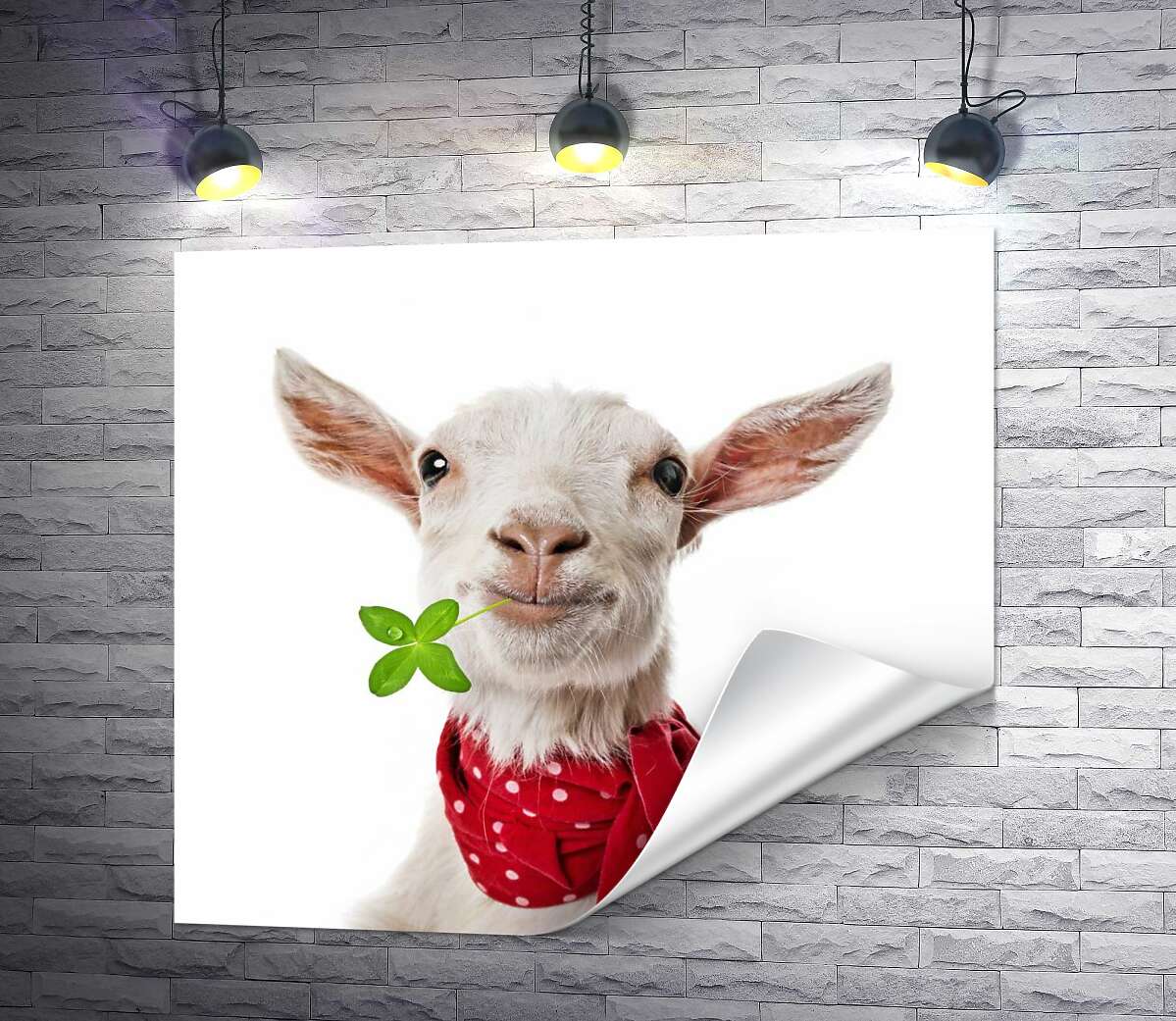 друк Елегантна коза в червоному шарфі