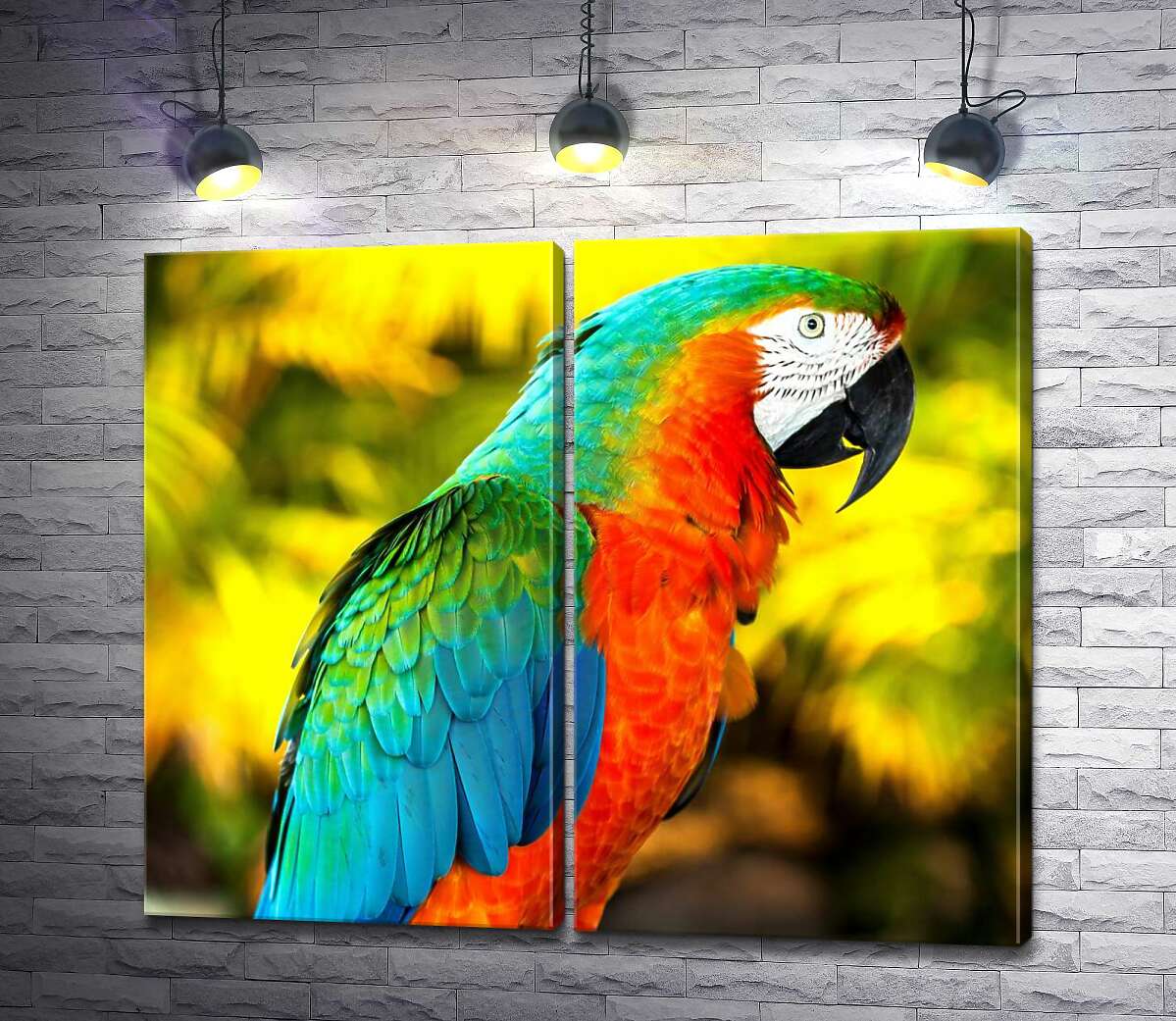 модульная картина Палитра красок на оперении попугая
