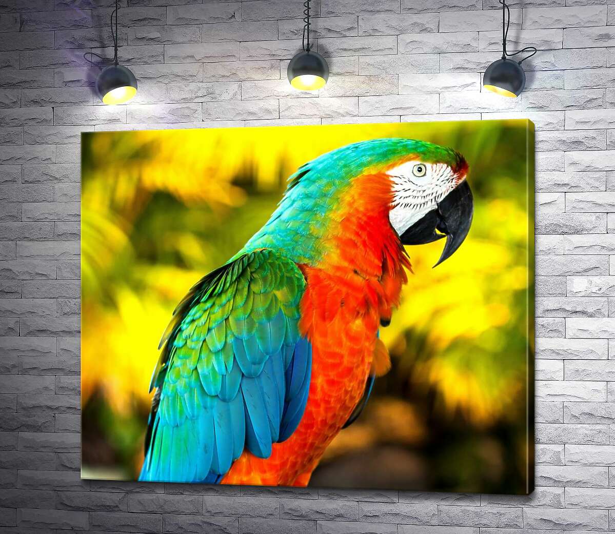 картина Палитра красок на оперении попугая