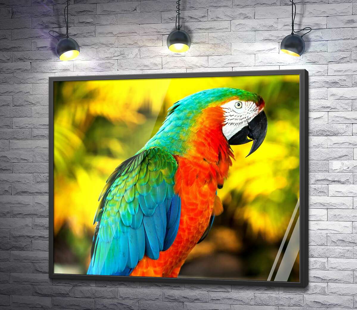 постер Палитра красок на оперении попугая