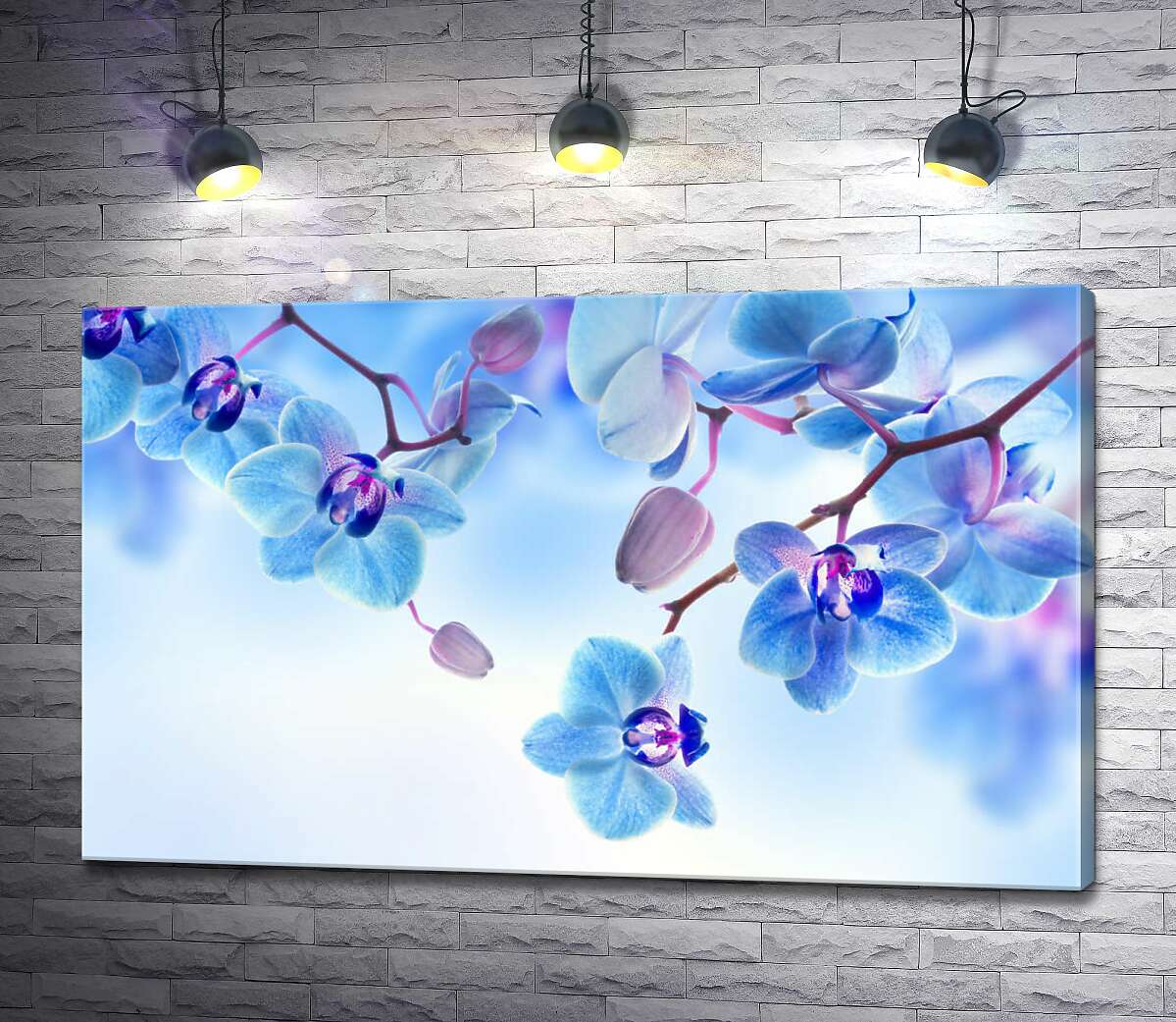 картина Холодні кольори пелюстків орхідеї