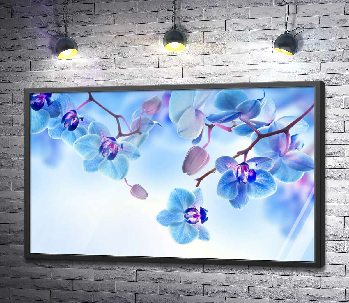постер Холодні кольори пелюстків орхідеї