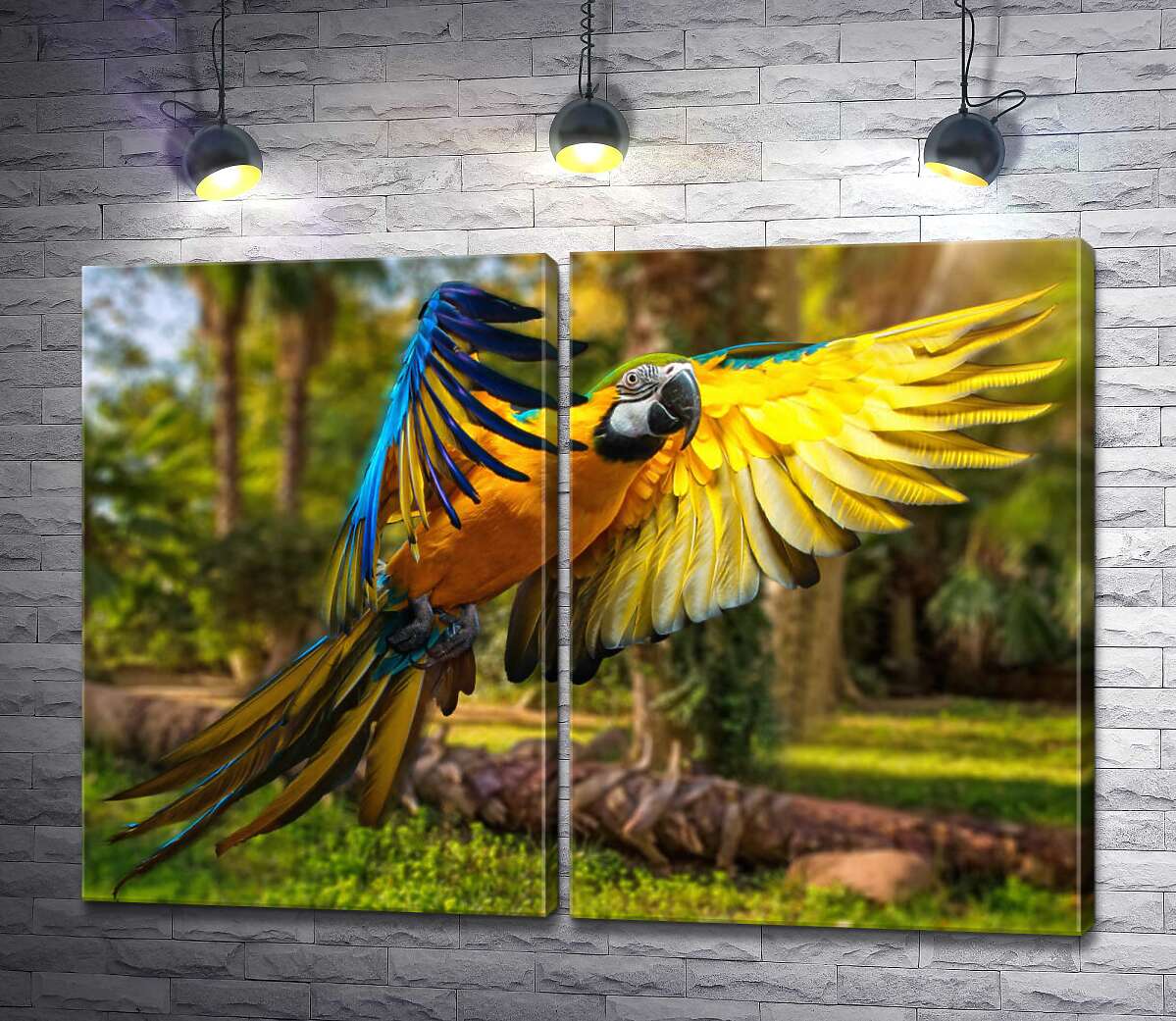 модульная картина Голубо-желтый попугай ара расправляет крылья в полете