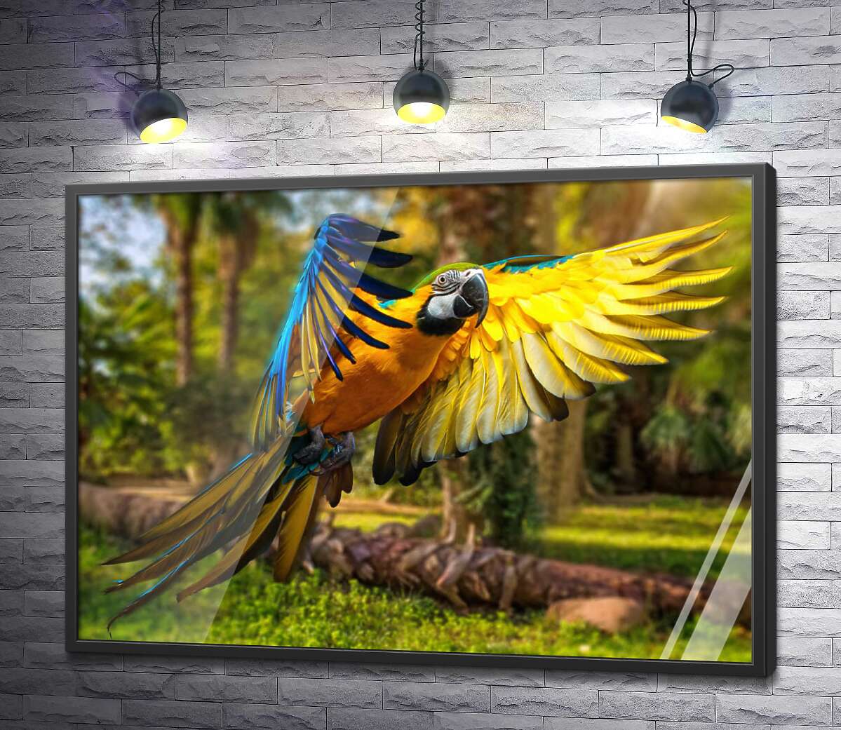 постер Голубо-желтый попугай ара расправляет крылья в полете