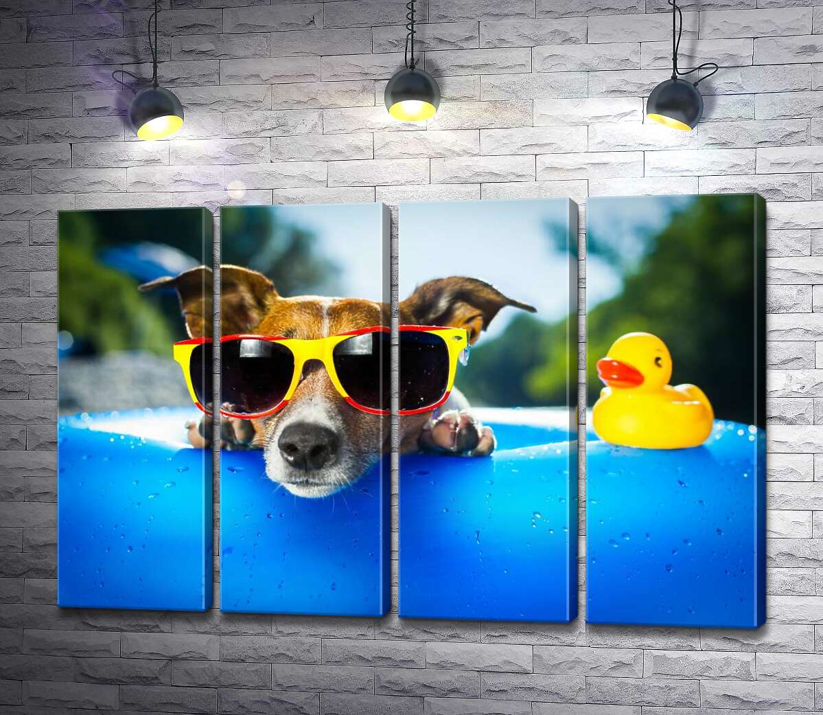 модульна картина Собака релаксує в сонячних окулярах на краю надувного басейну (Модуль №24)