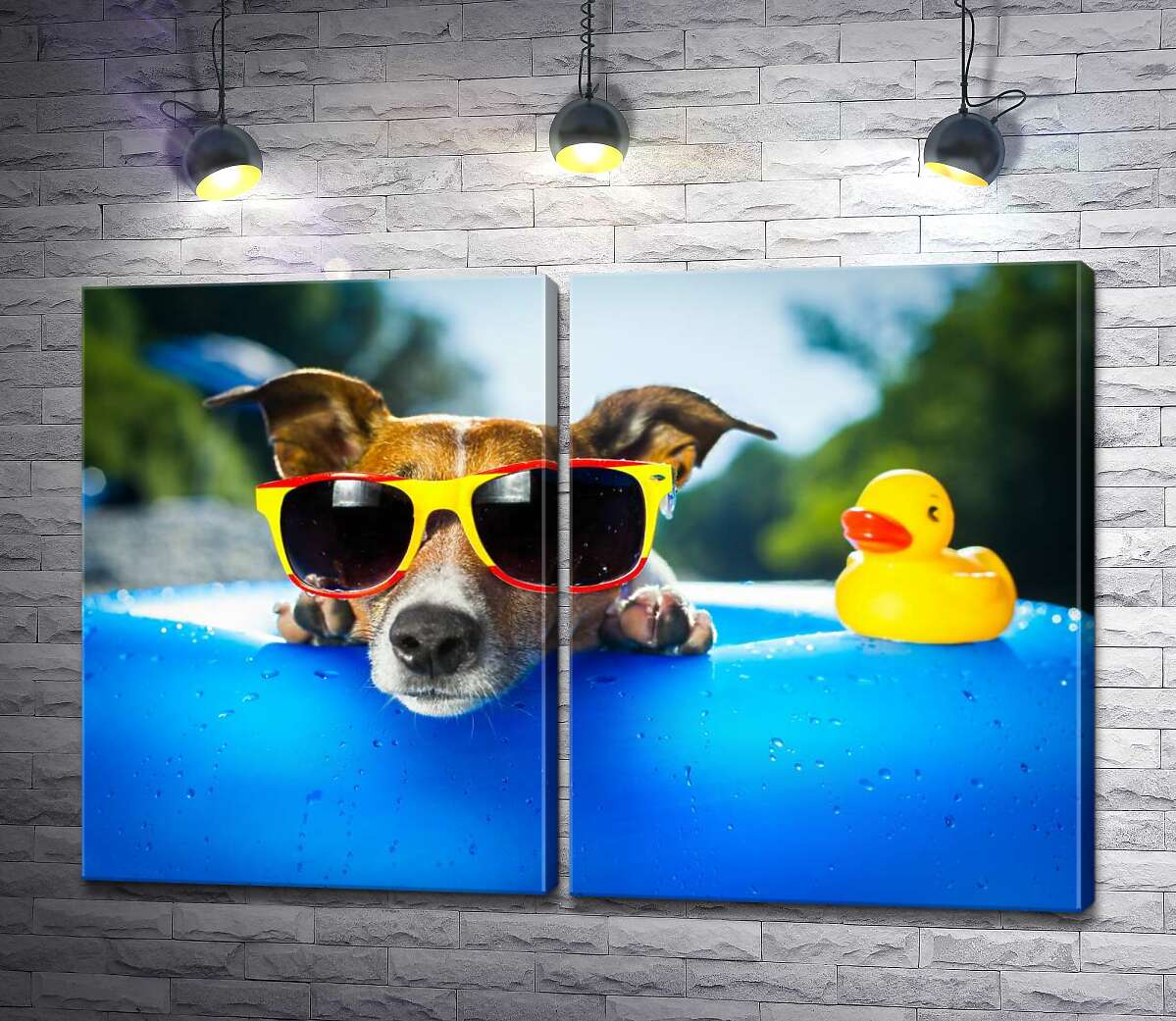 модульная картина Собака релаксирует в солнечных очках на краю надувного бассейна