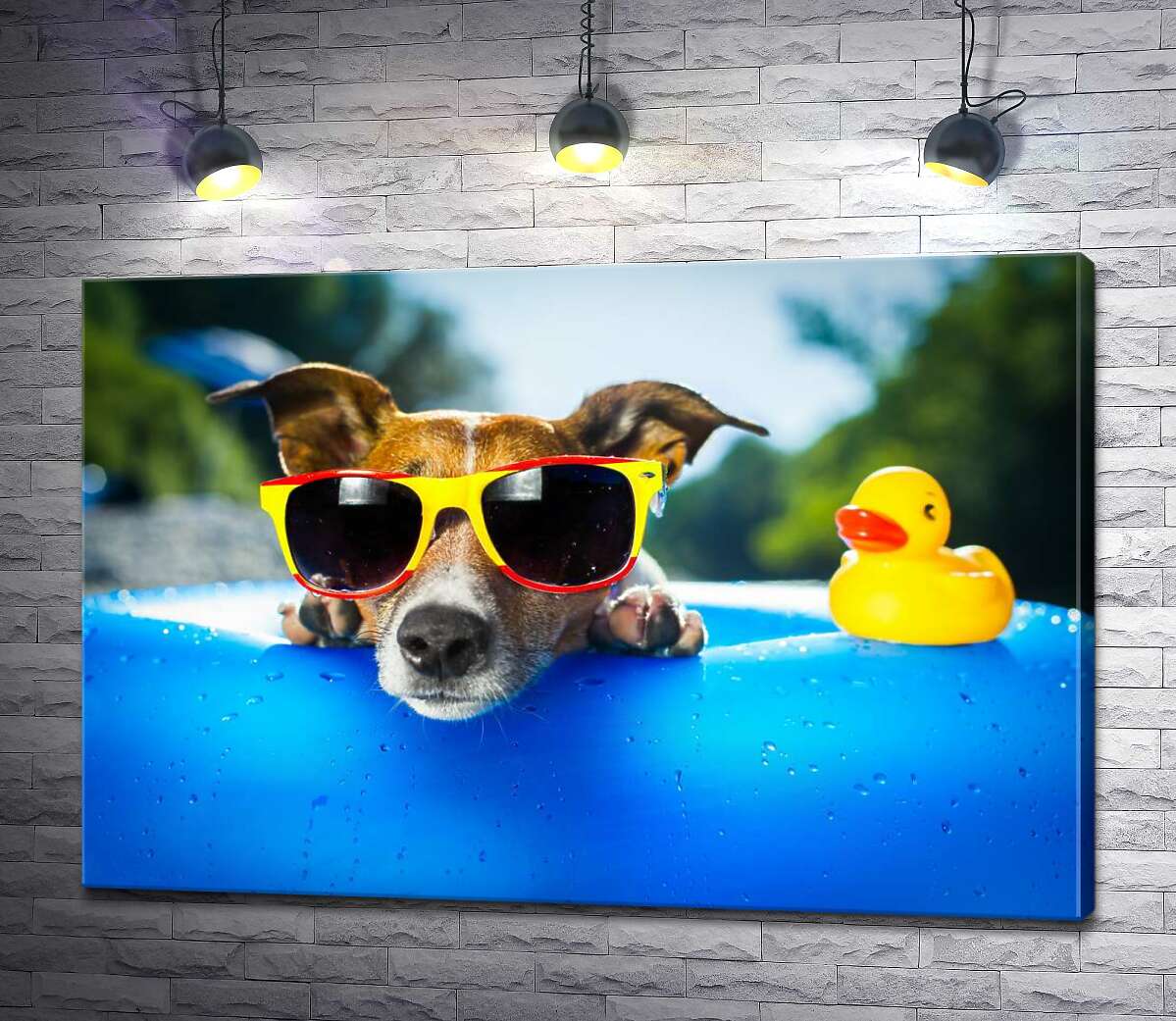 картина Собака релаксирует в солнечных очках на краю надувного бассейна