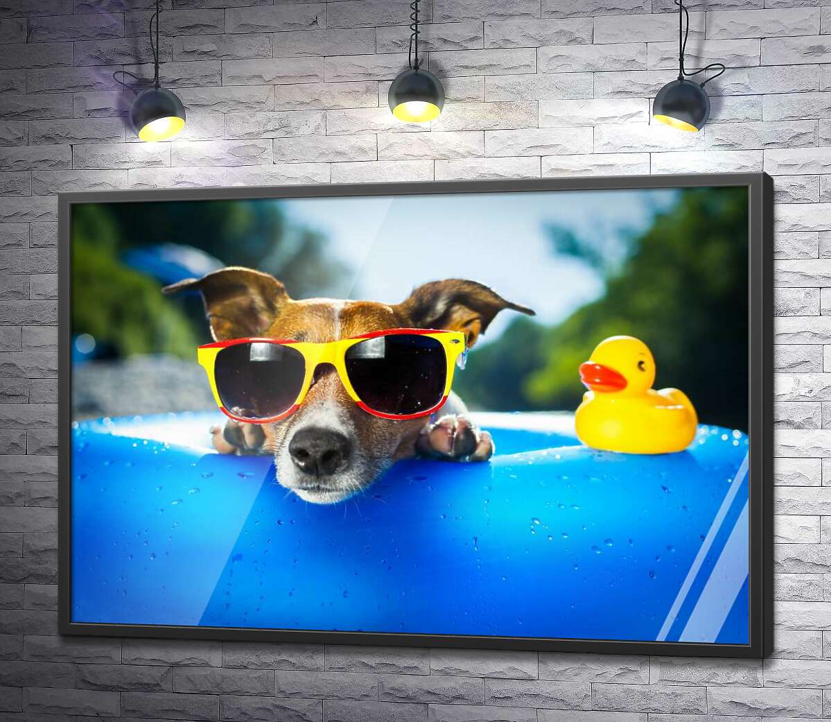 постер Собака релаксує в сонячних окулярах на краю надувного басейну