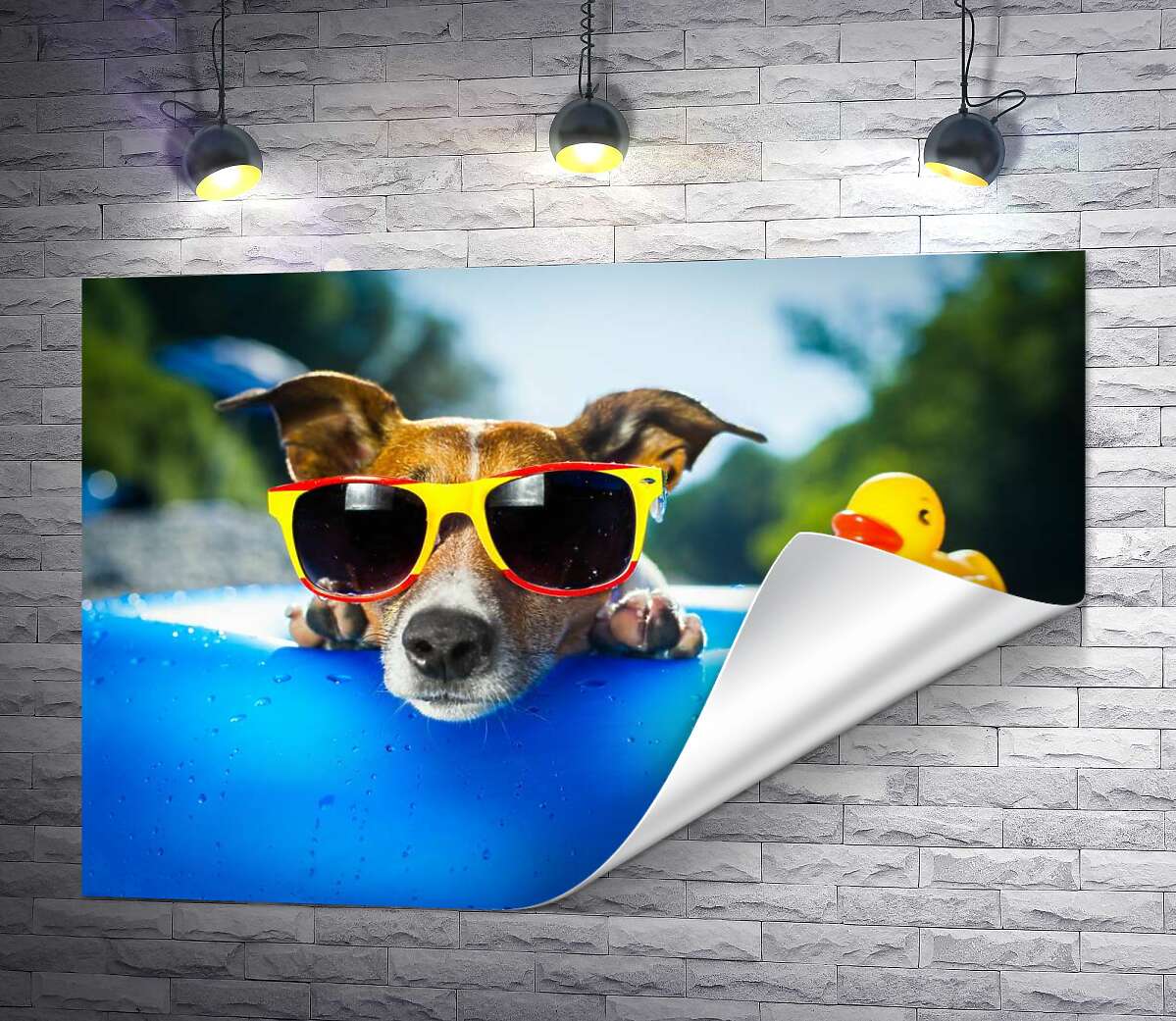 печать Собака релаксирует в солнечных очках на краю надувного бассейна
