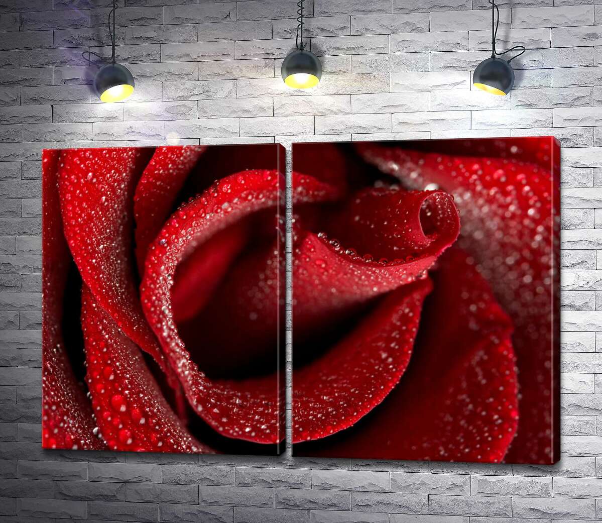 модульна картина Ніжна середина червоної троянди, всіяна краплями роси