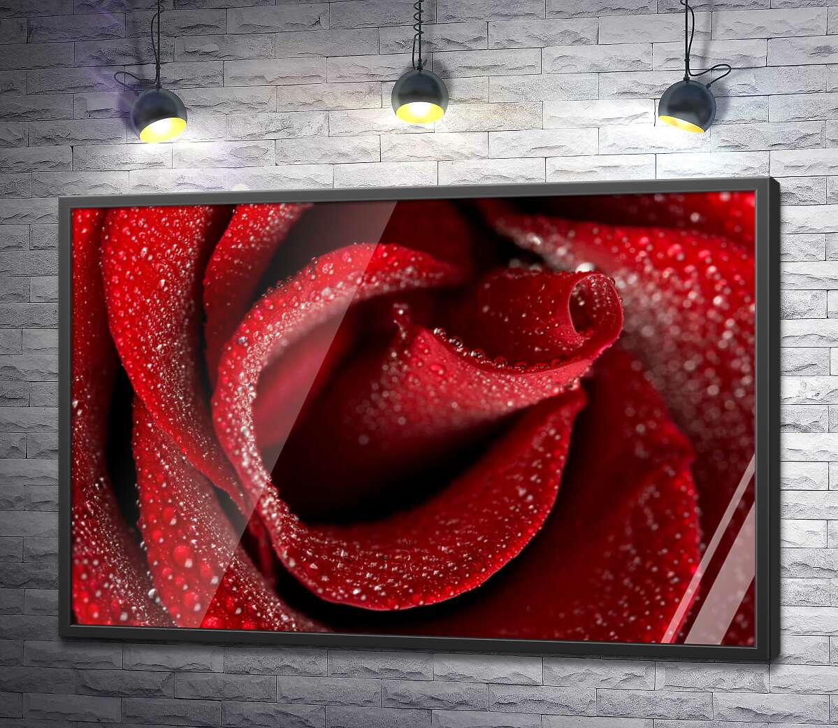 постер Нежная середина красной розы, усеянная каплями росы