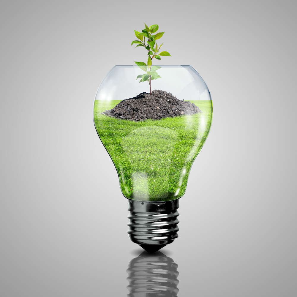картина-постер Дерево в лампе как призыв беречь экологию