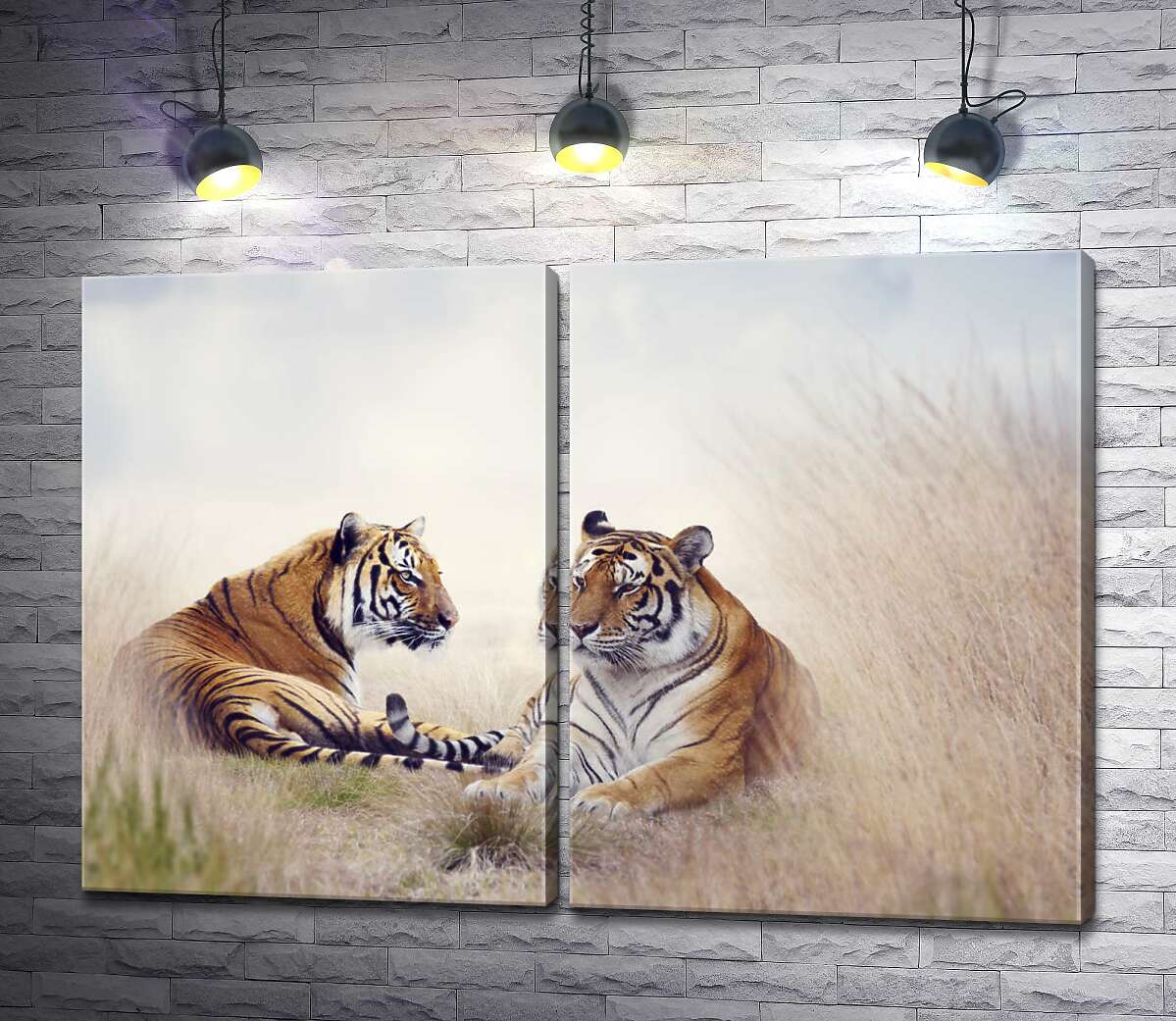 модульная картина Полосатые тигры отдыхают в высокой степной траве