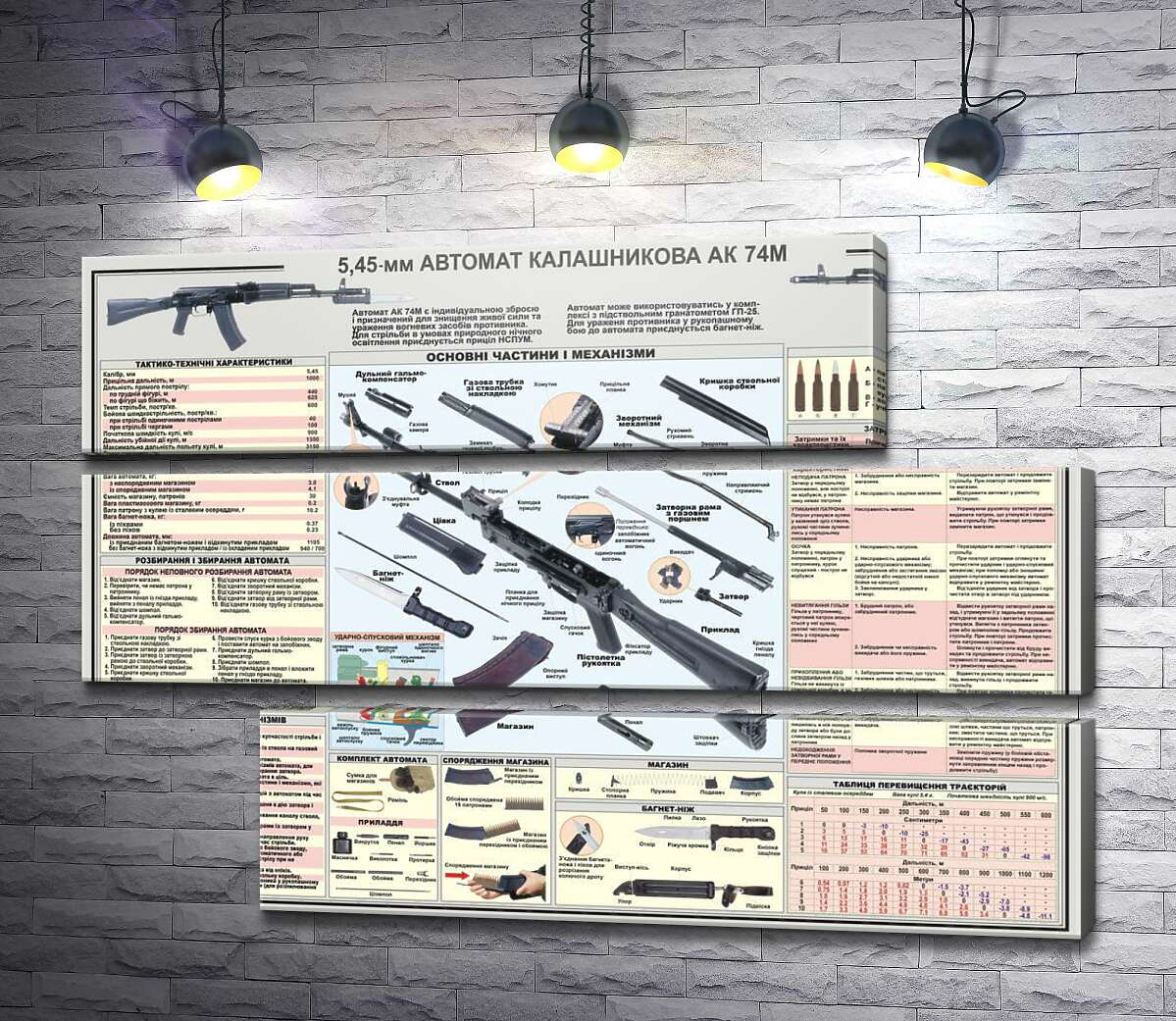 модульна картина Навчальний плакат автомата Калашнікова (АК - 74М) (Модуль №16)