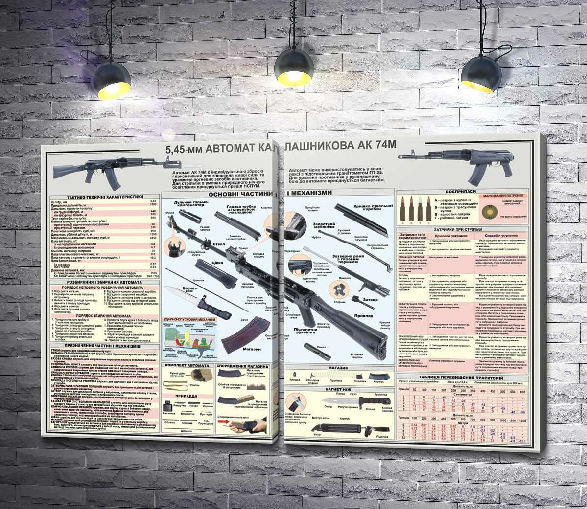 модульная картина Учебный плакат автомата Калашникова (АК – 74М)