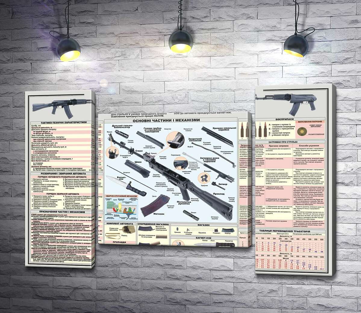 модульная картина Учебный плакат автомата Калашникова (АК – 74М) (Модуль №11)