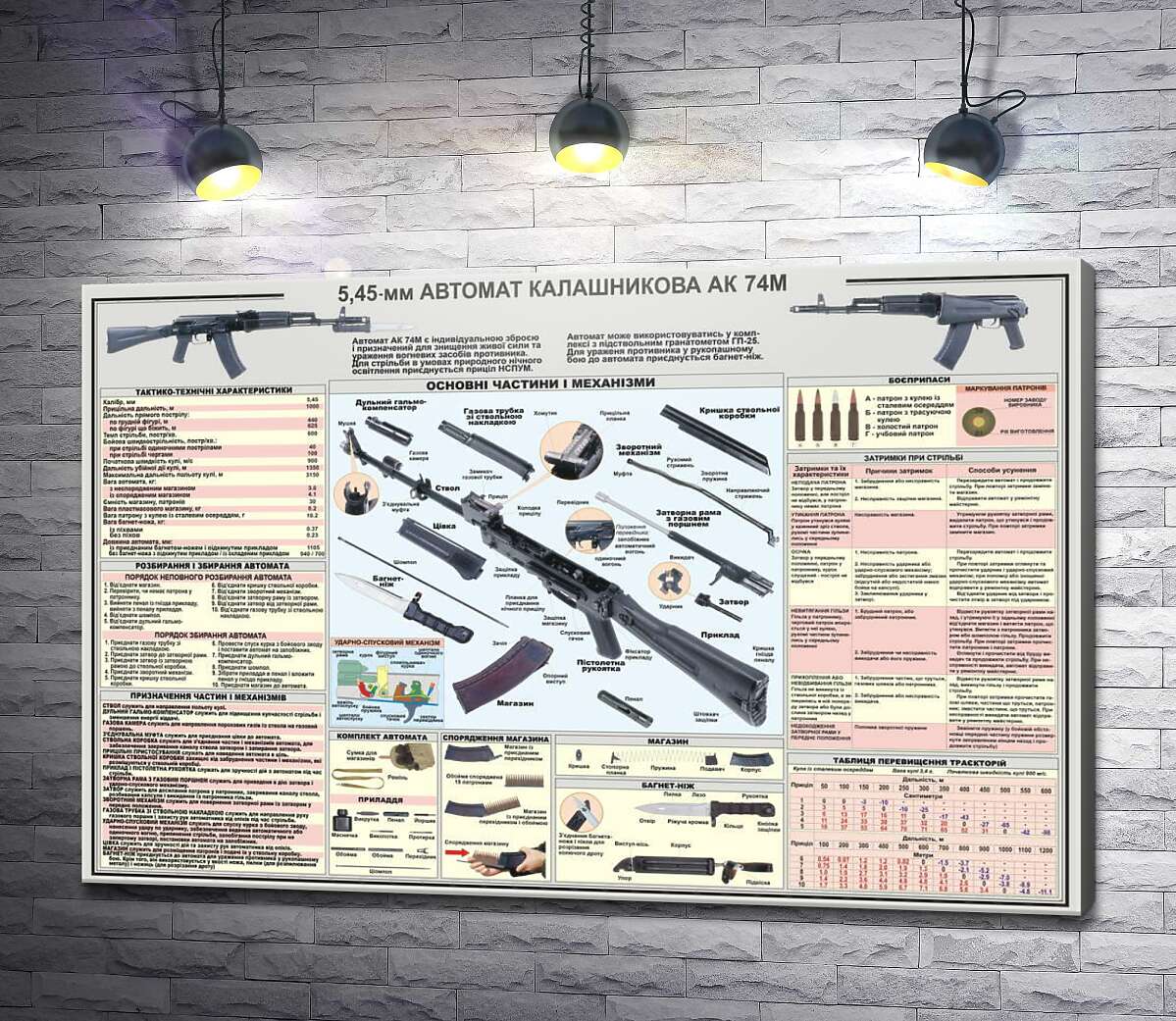 картина Навчальний плакат автомата Калашнікова (АК - 74М)