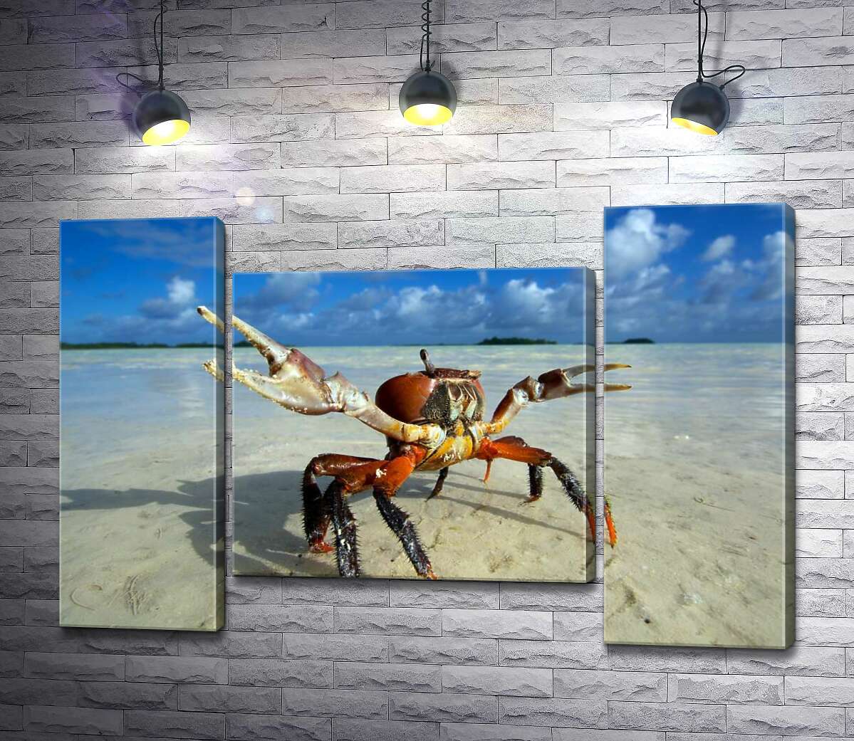 модульна картина Краб готує клешні до нападу (Модуль №11)