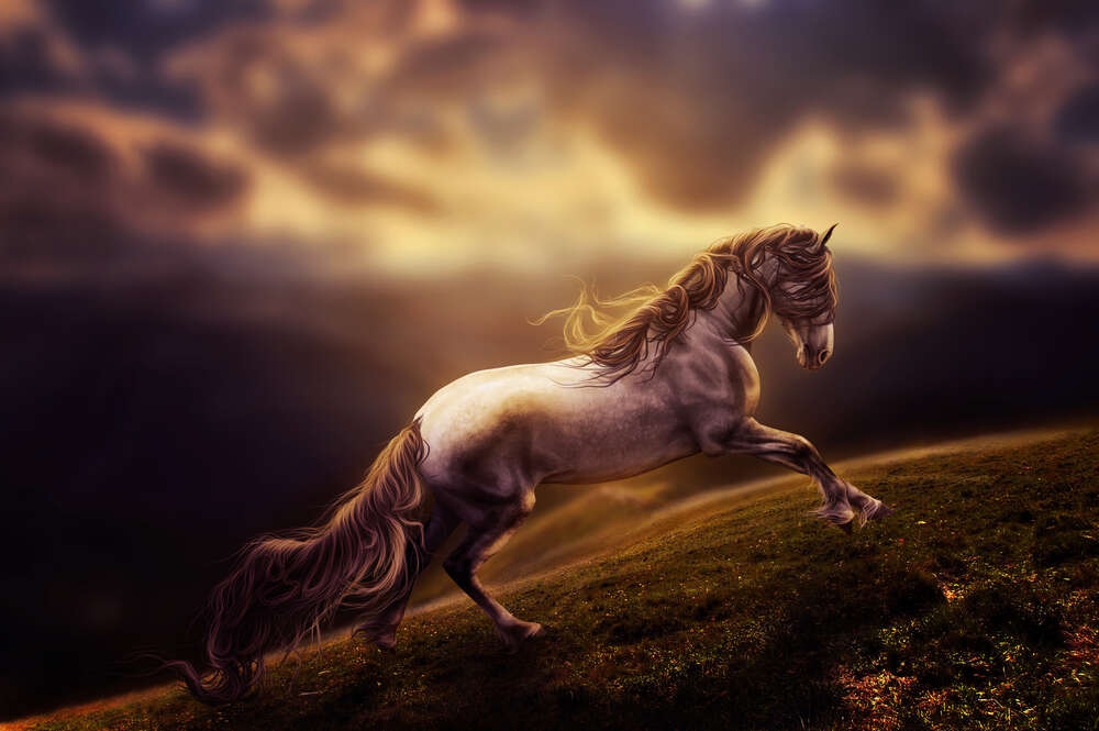 картина-постер Белая лошадь скачет по изумрудной горной траве