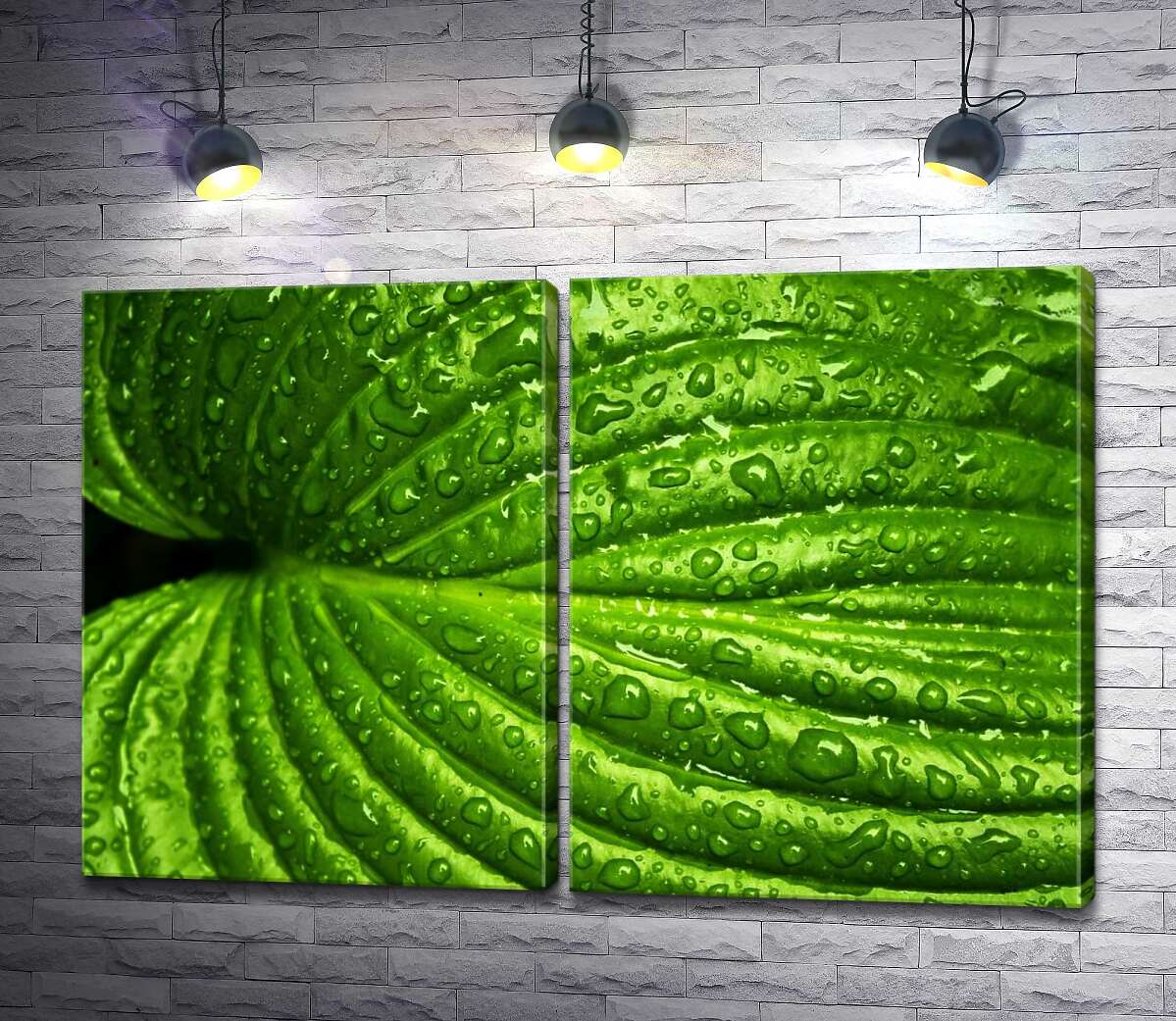модульна картина Яскраво-зелений тропічний листок в освіжаючих дощових краплях