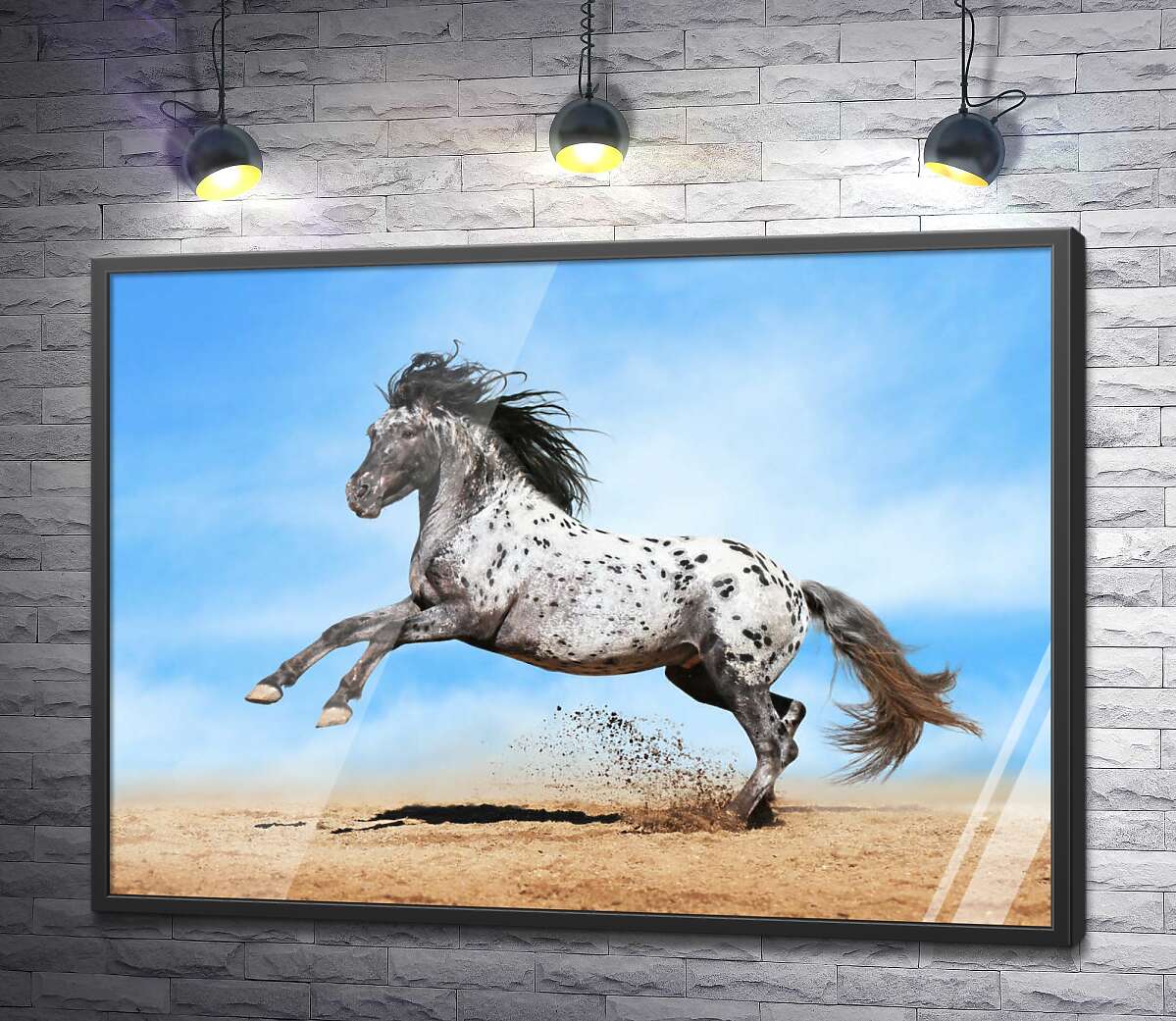 постер Красивая лошадь чубарой масти становится на дыбы
