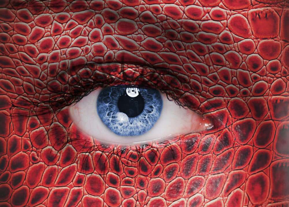 картина-постер Красная чешуя рептилии очерчивает взгляд голубого глаза девушки