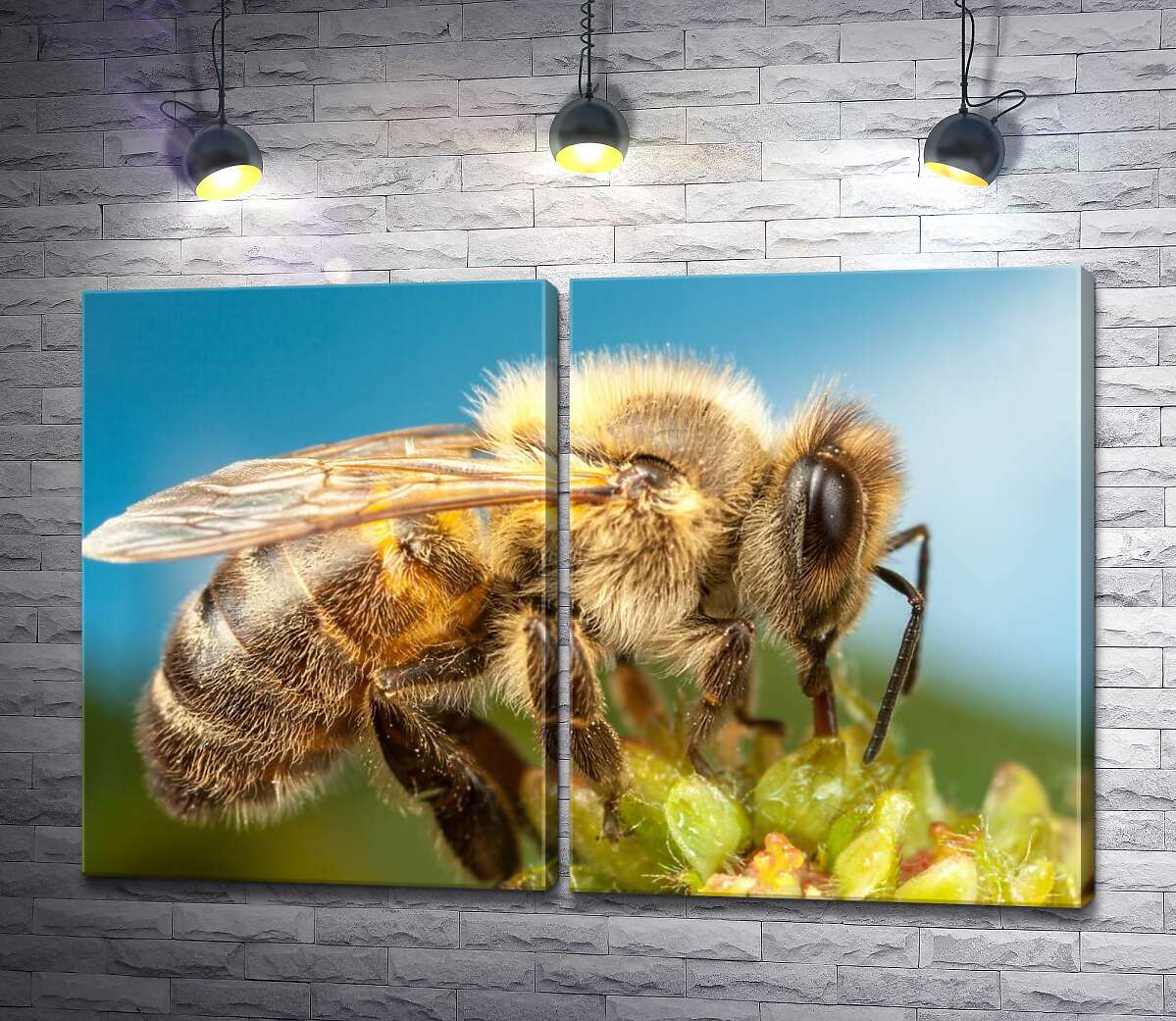 модульная картина Труженица пчела собирает сладкий нектар
