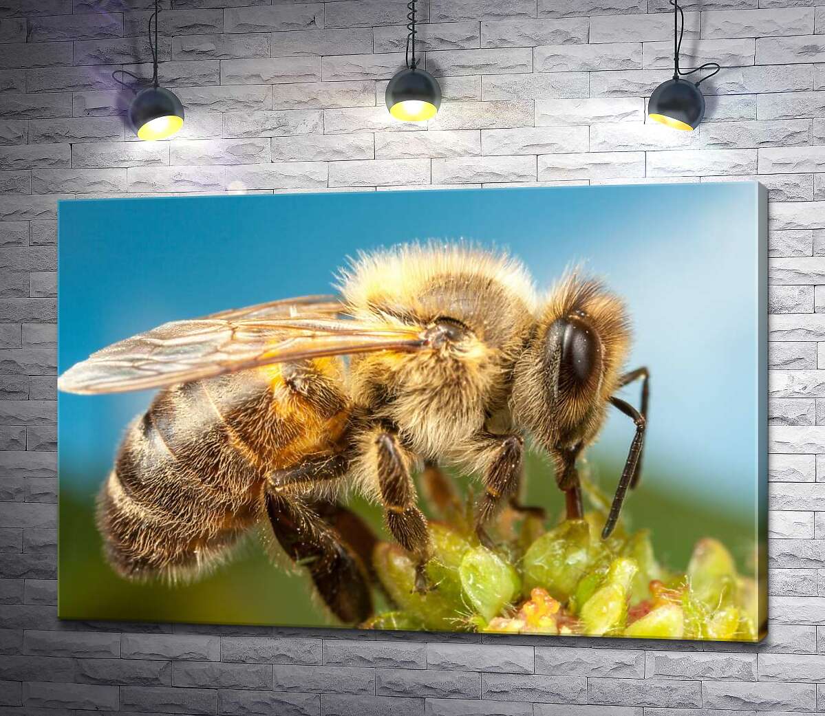 картина Труженица пчела собирает сладкий нектар