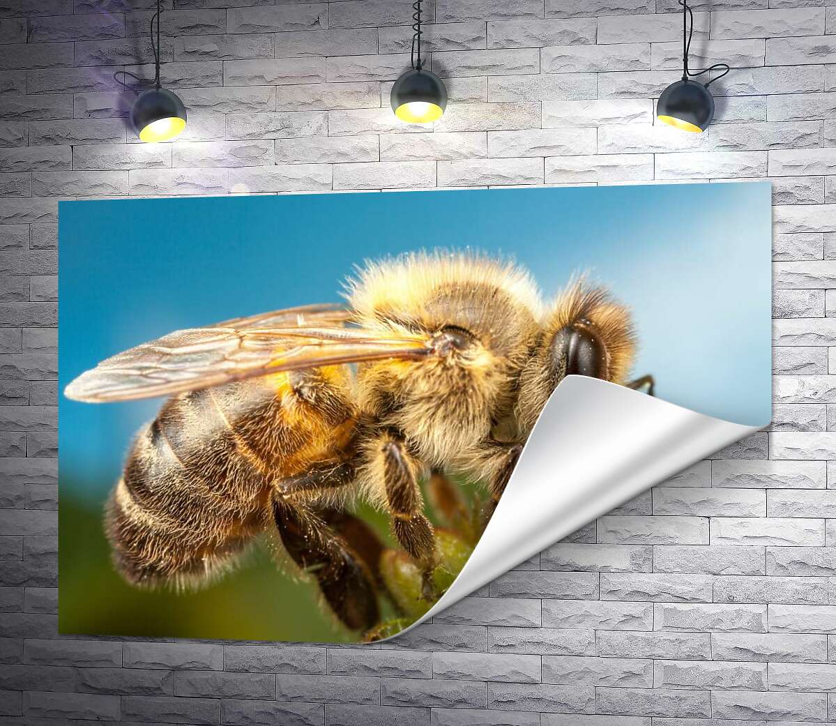 друк Трудівниця бджола збирає солодкий нектар