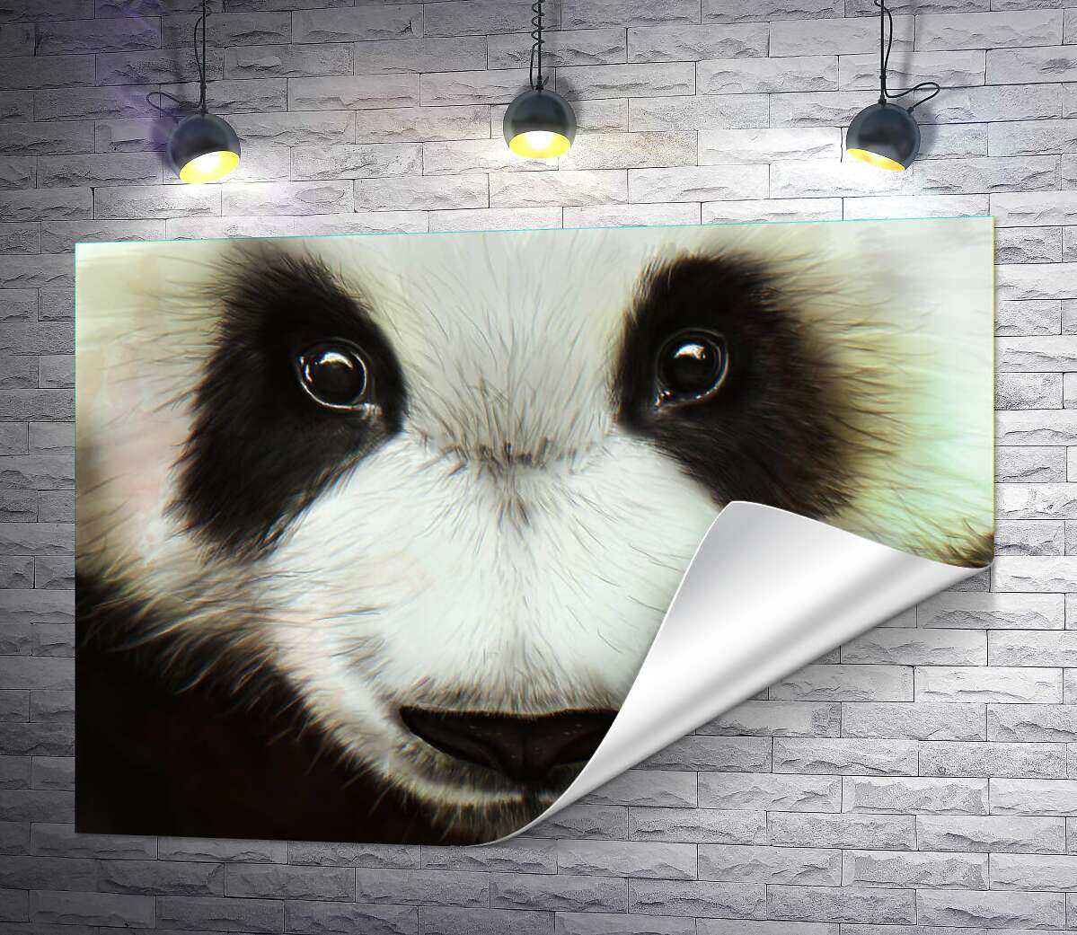 печать Черно-белая мордашка любознательной панды