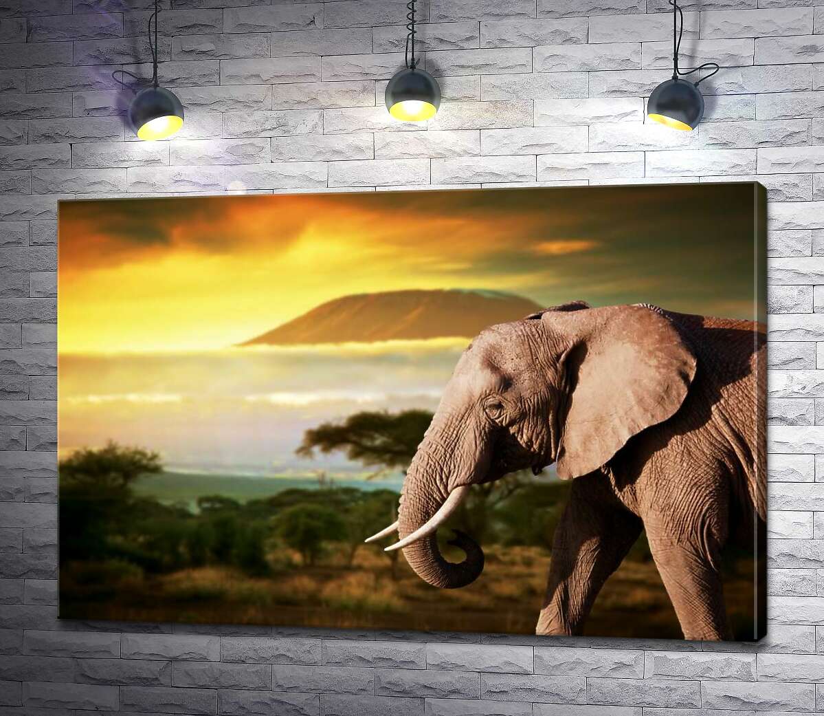картина Слон прогуливается по дороге саванны
