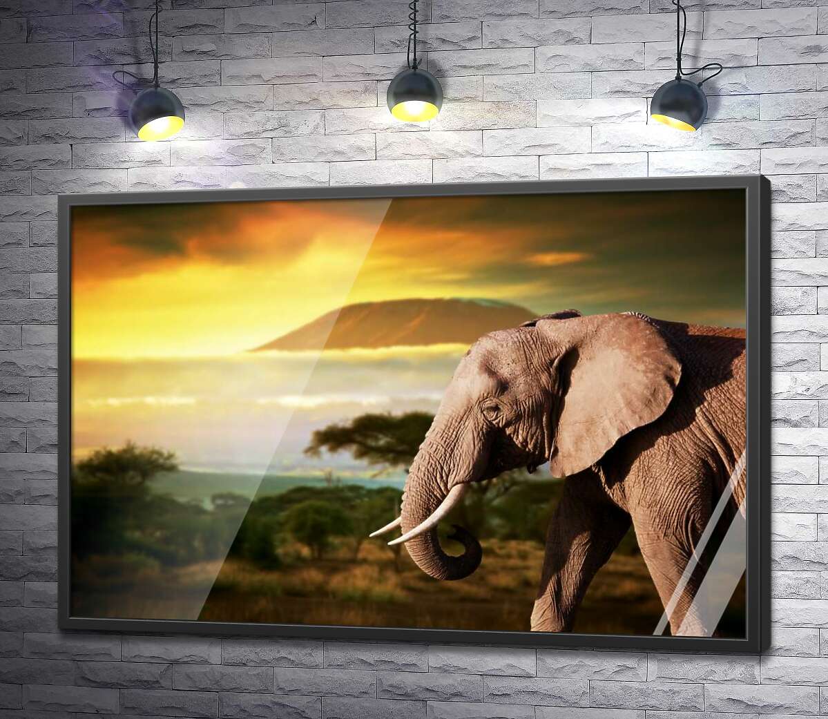 постер Слон прогуливается по дороге саванны