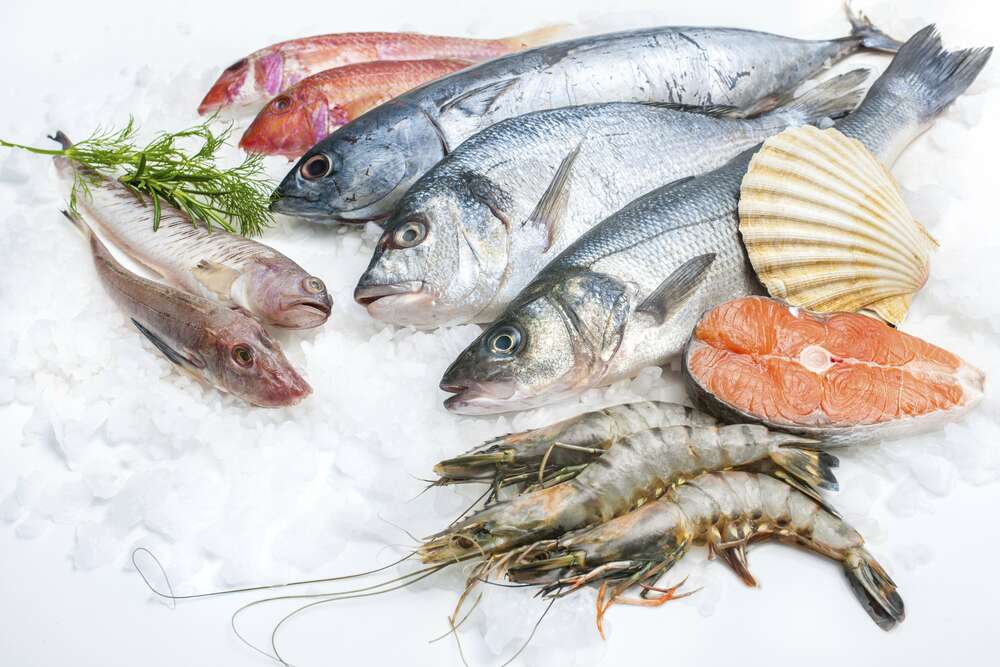 картина-постер Разнообразие морской рыбы и креветок на холоде льда