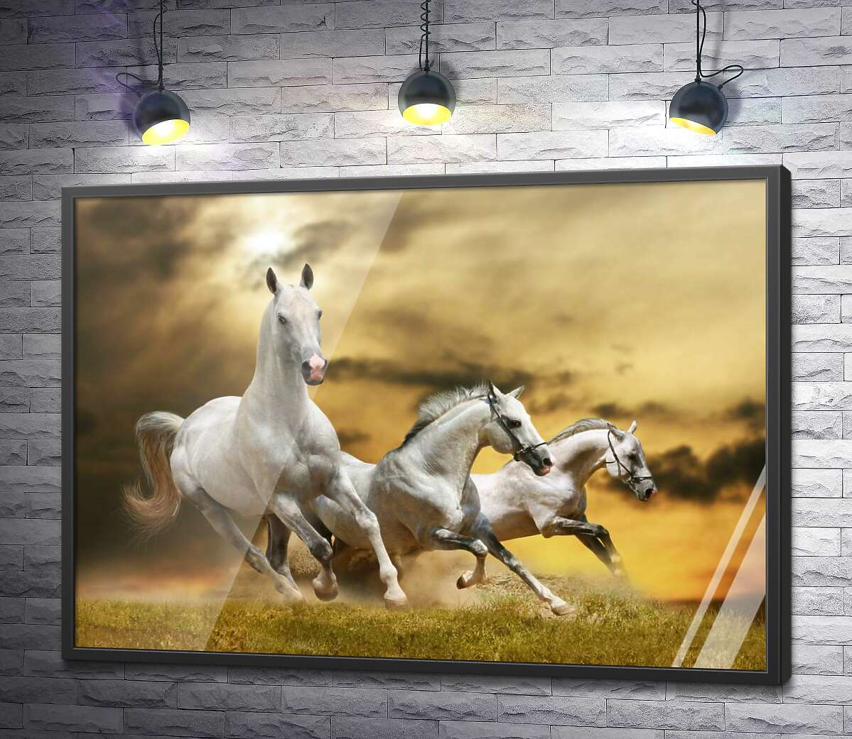 постер Швидкий галоп трьох білих коней