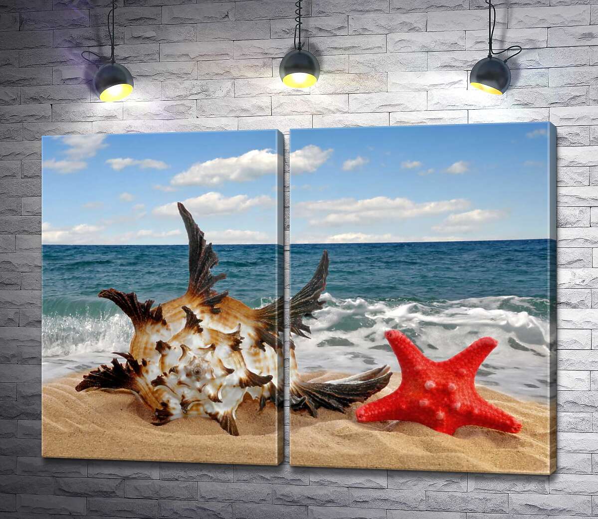 модульна картина Ніжна мушля, з гострими кінцями, та червона морська зірка зарились в пляжний пісок