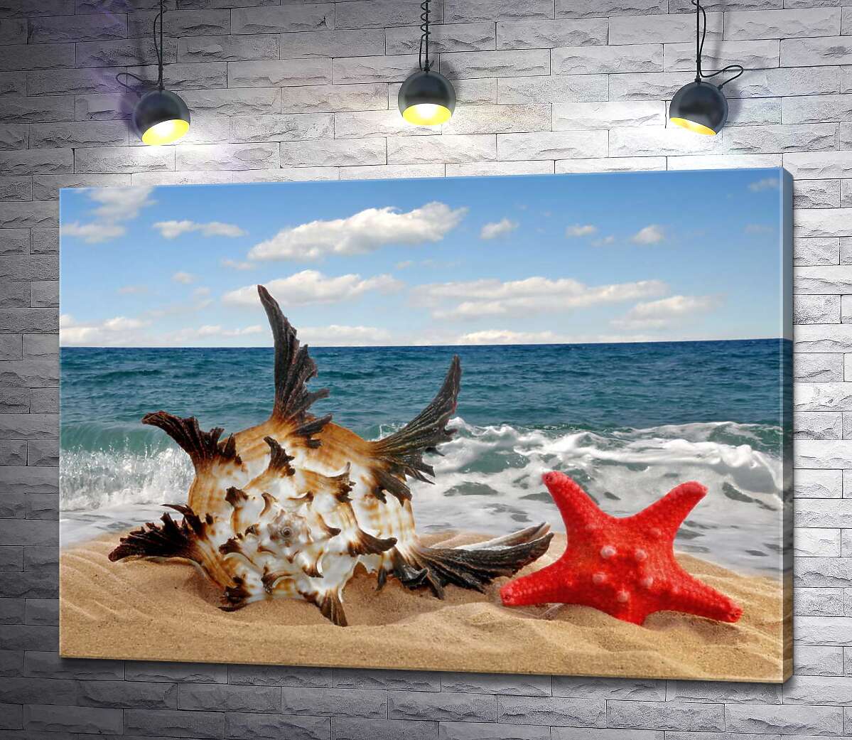 картина Ніжна мушля, з гострими кінцями, та червона морська зірка зарились в пляжний пісок