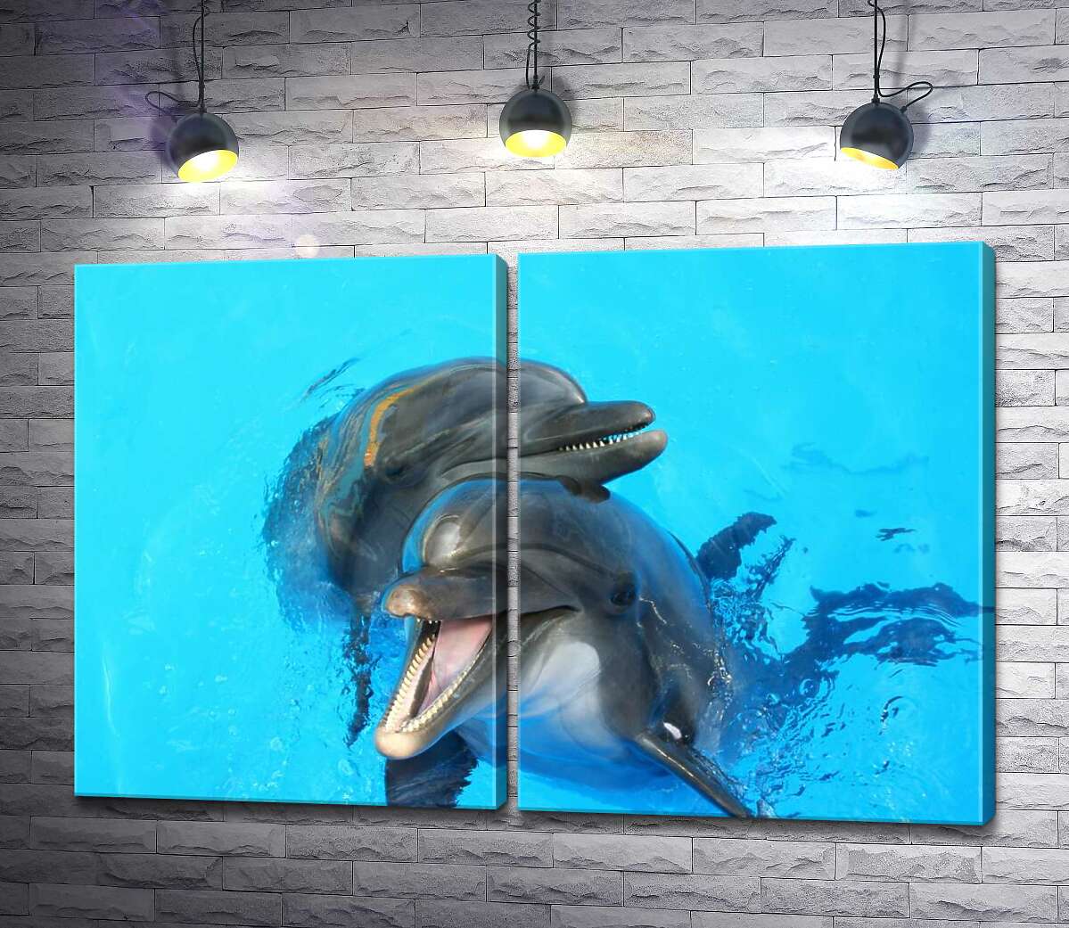 модульная картина Два дельфина выглядывают из голубизны воды