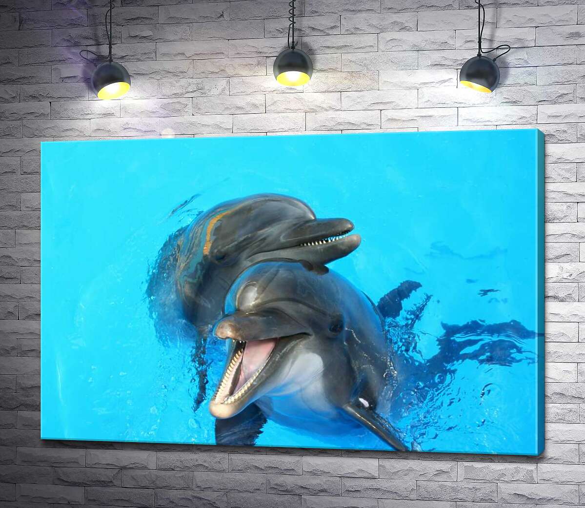 картина Два дельфіна визирають із блакиті води