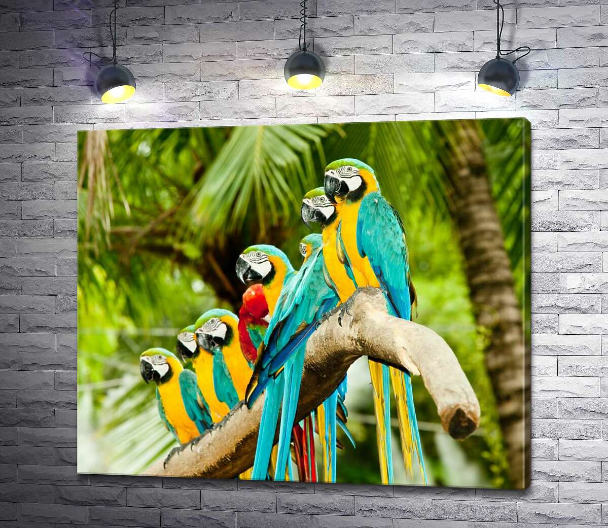картина Цветной узор из попугаев ара, которые отдыхают на ветке