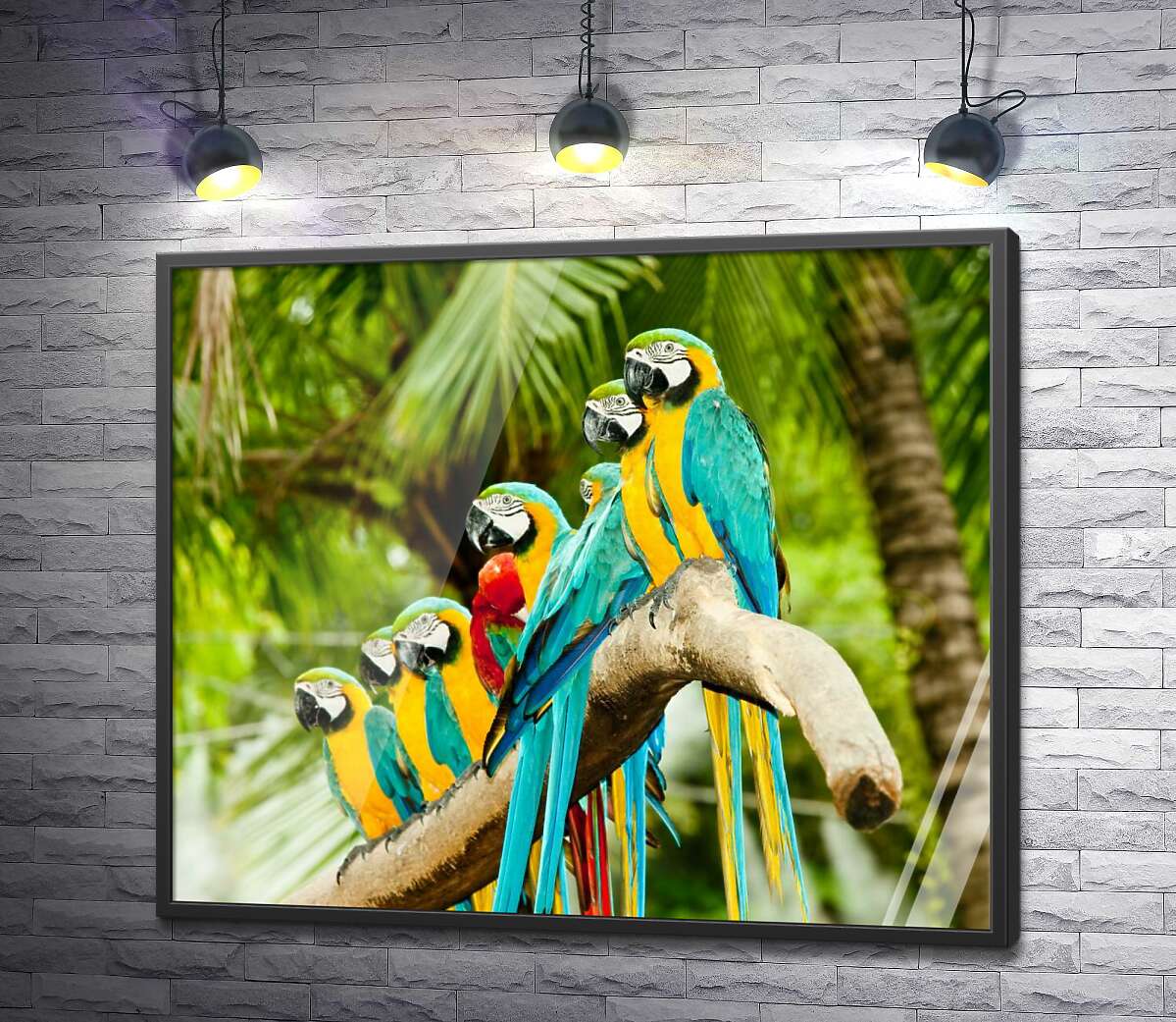 постер Цветной узор из попугаев ара, которые отдыхают на ветке