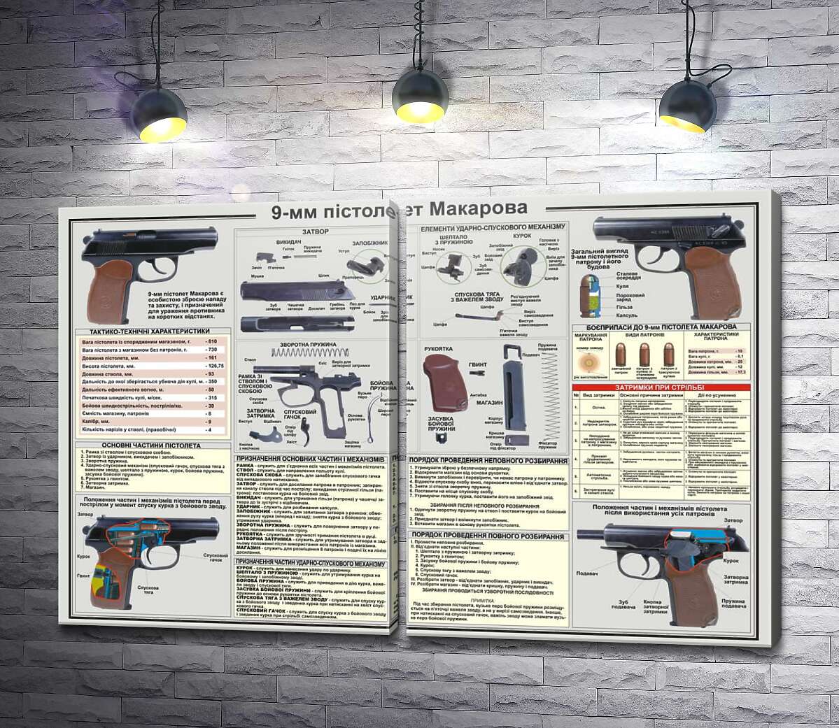 модульная картина Учебный плакат пистолета Макарова